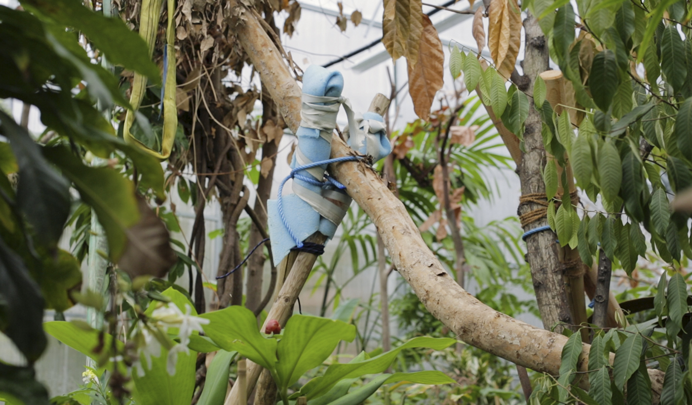 Columbus // 2020 // Read More ︎︎︎