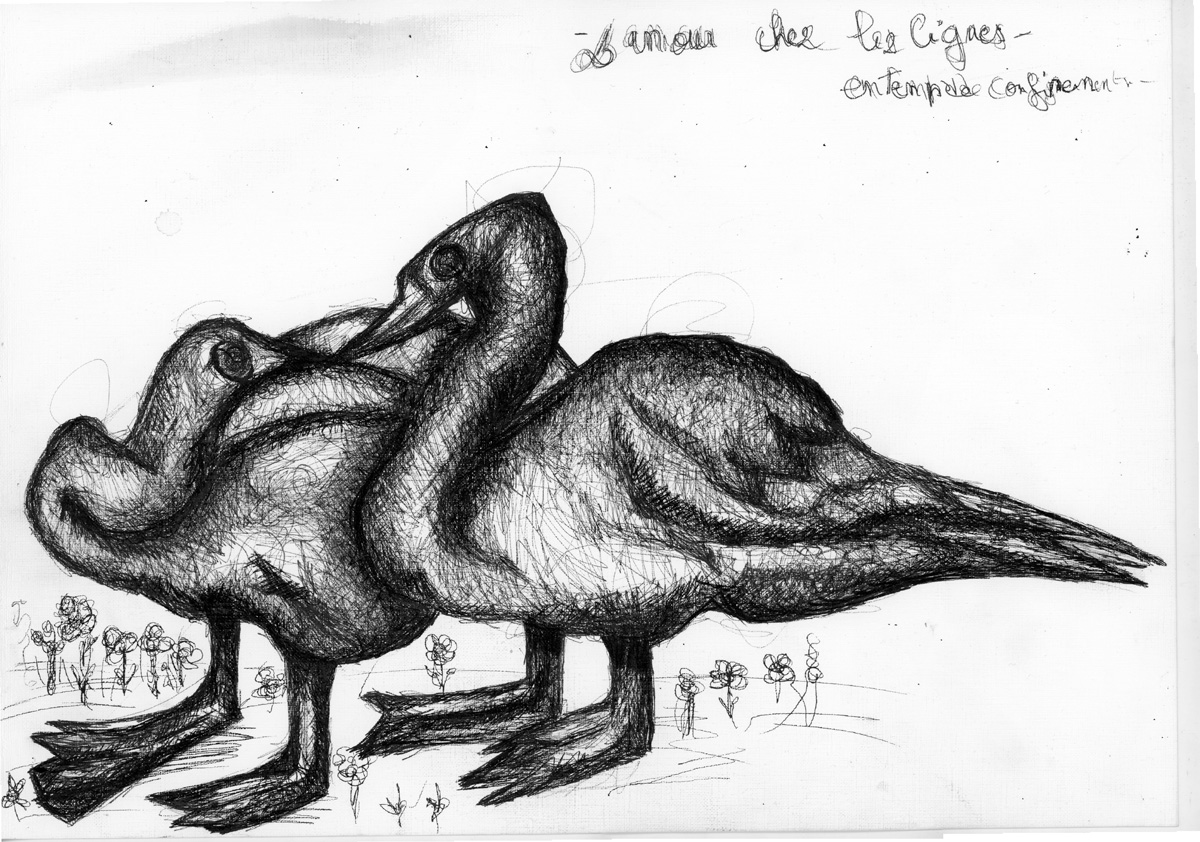 Baiser de cygne,encre de chine, 2020, 21 x 29,7 cm