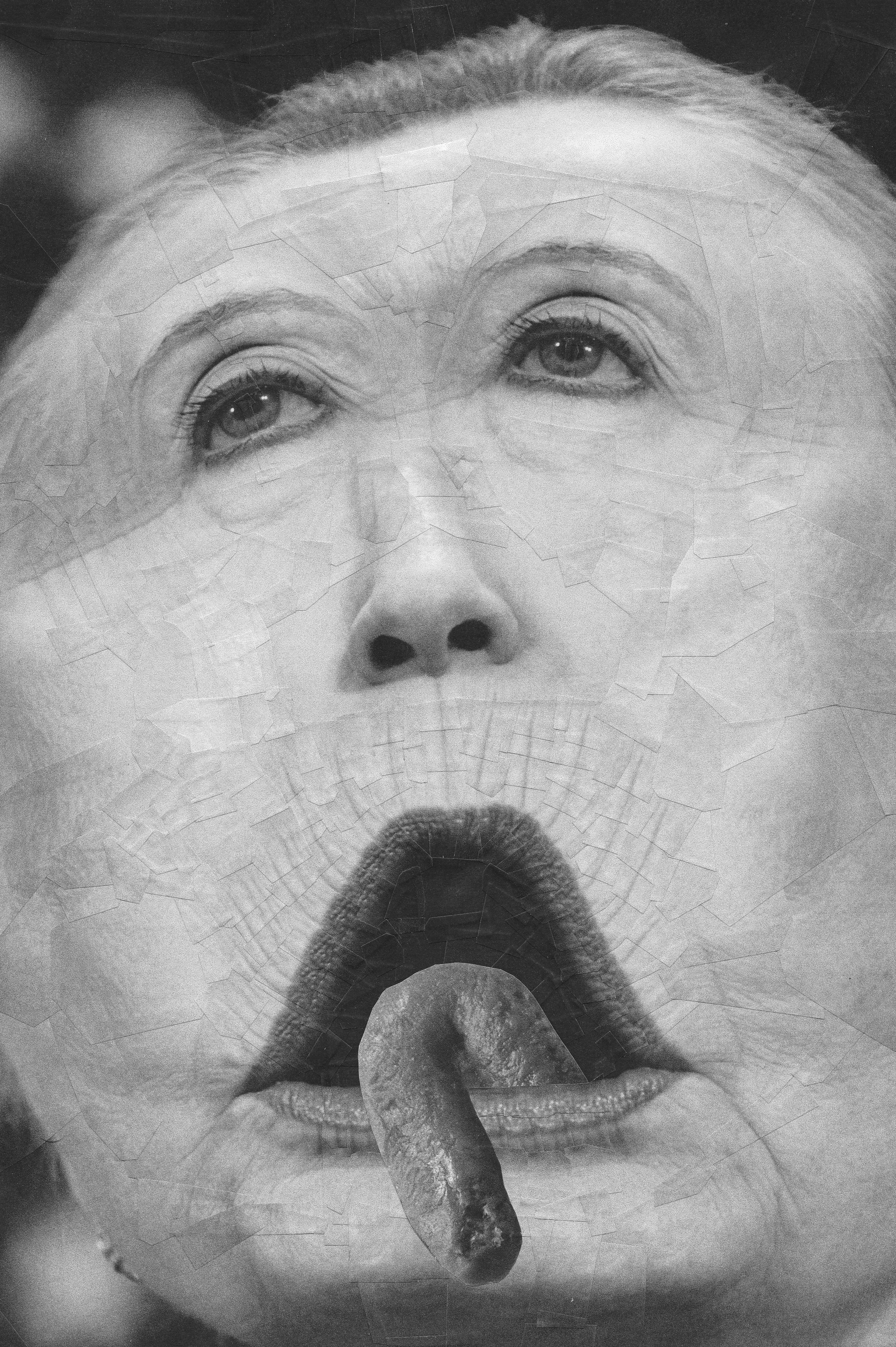 Clinton, 2014, 8.2 x 11.6 inches