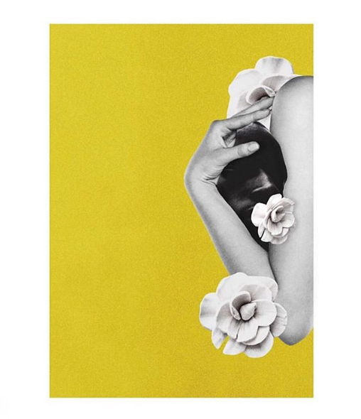 alison.marie.francoeur