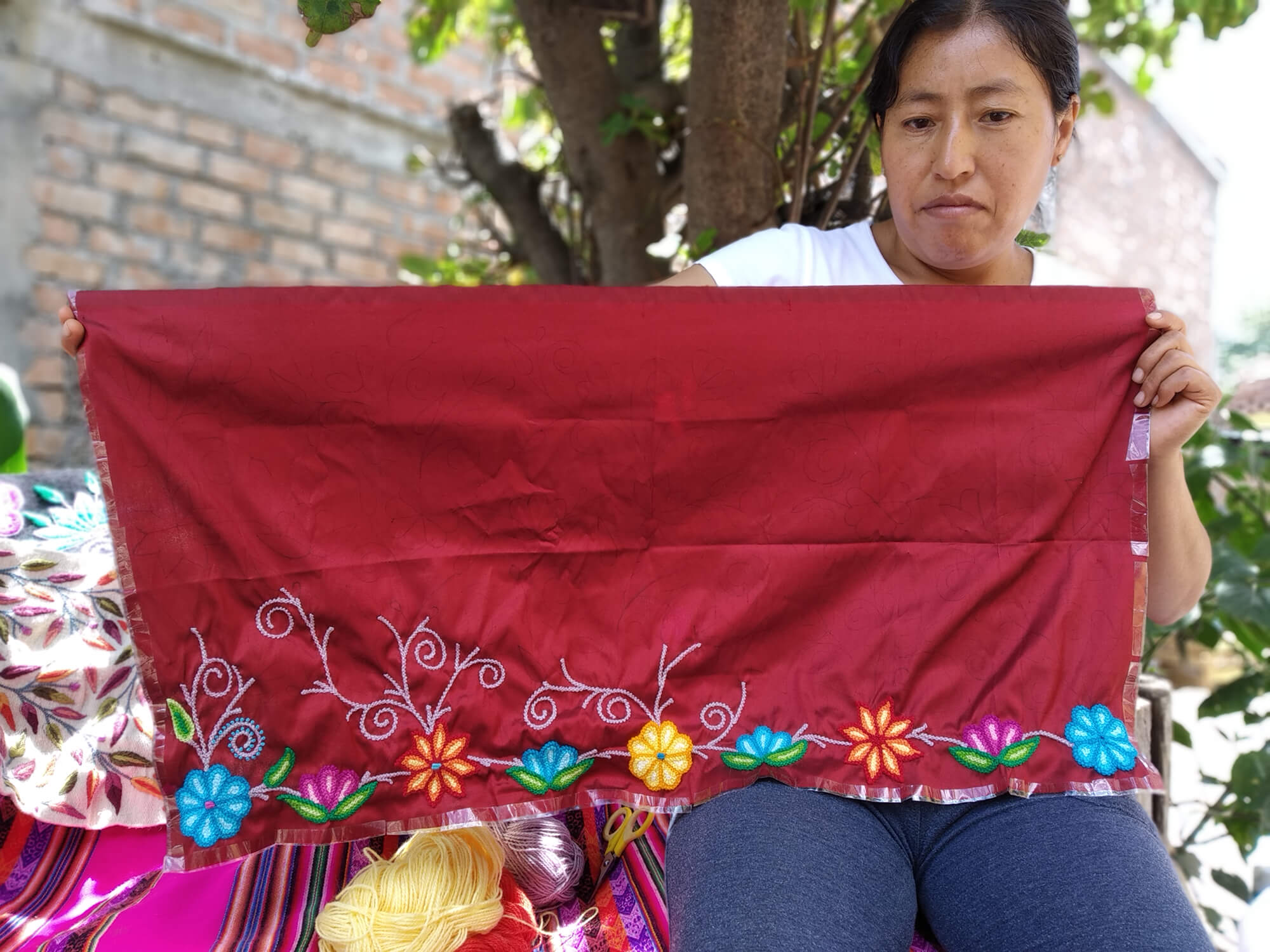 Martha Carrión Juarez, supported by Mantas y Trenzas, Peru 2019