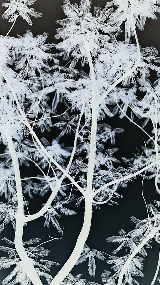 original image by Wang Zi