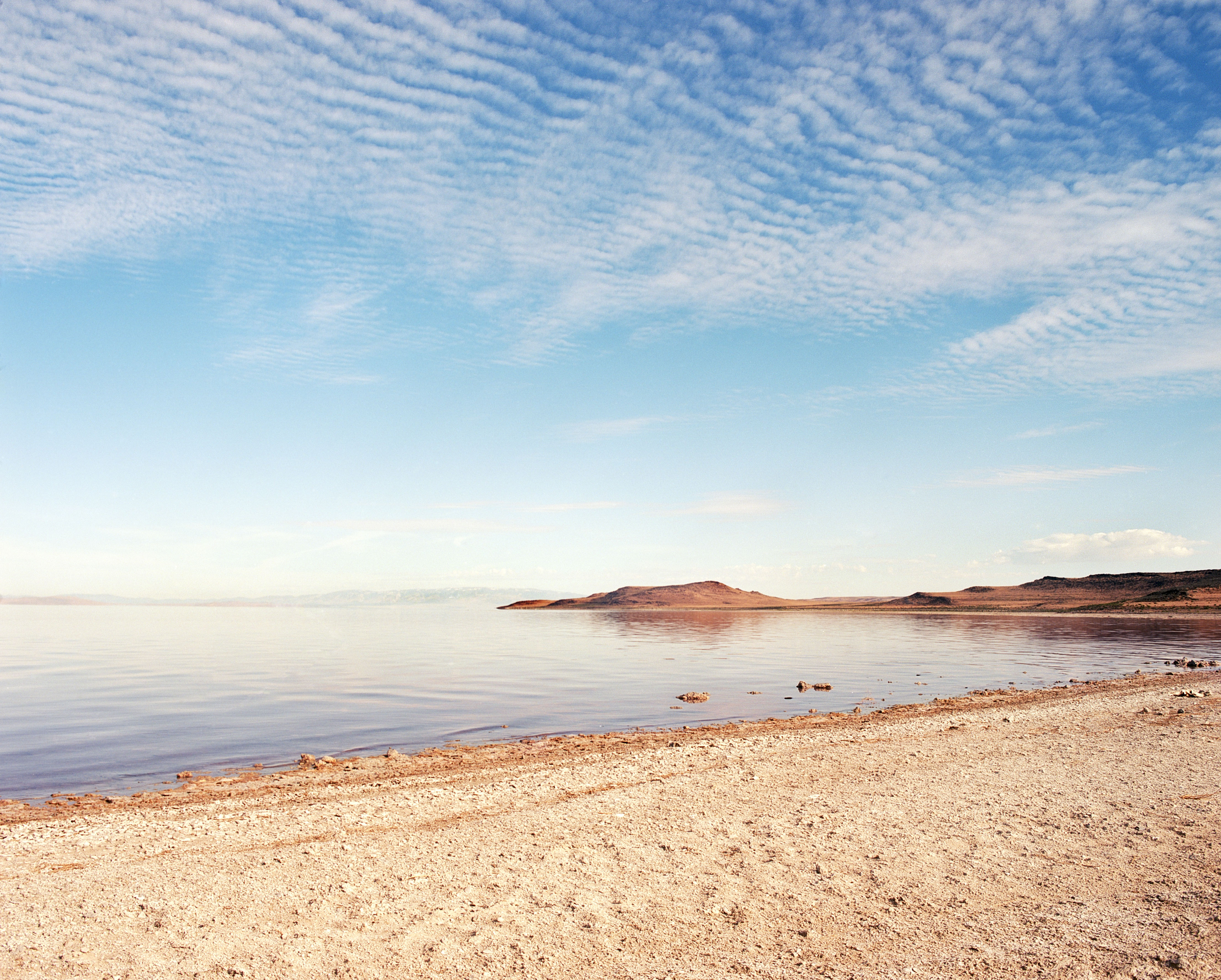 Salt Flat Shore, 2020