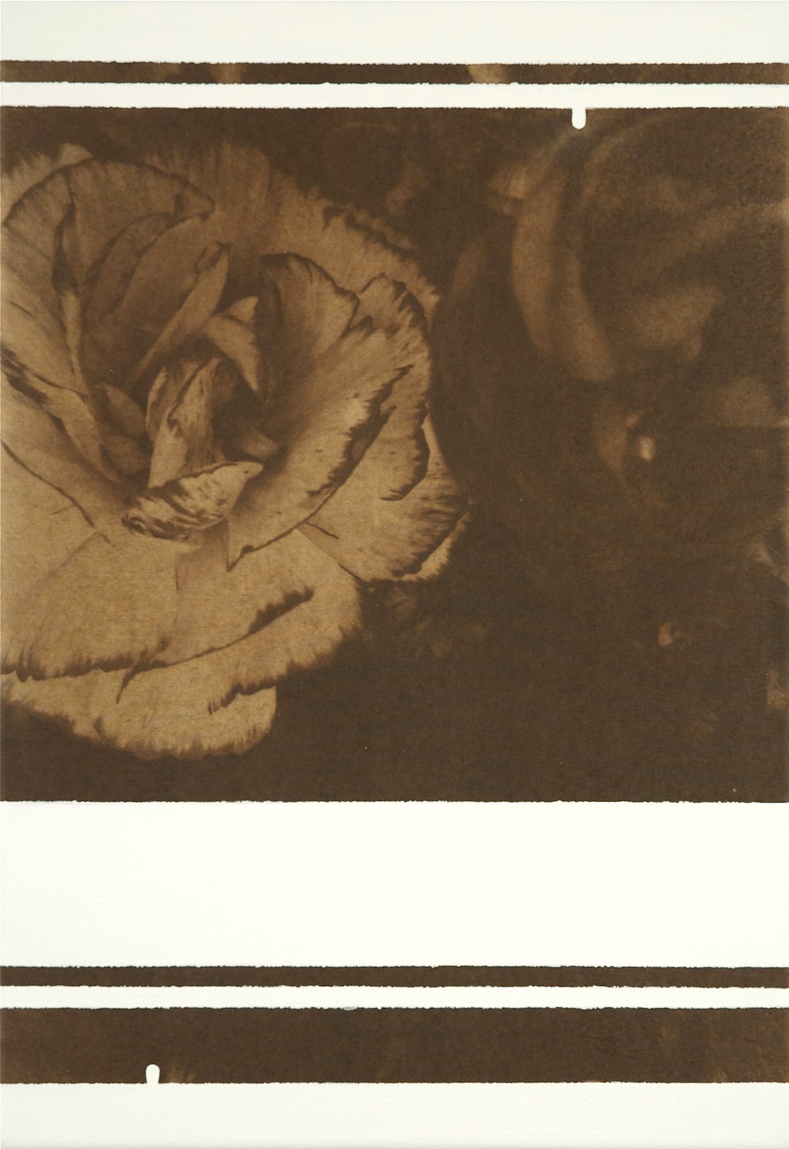 Untitled 2014, kallitype and acrylic on canvas, 36 x 25 cm