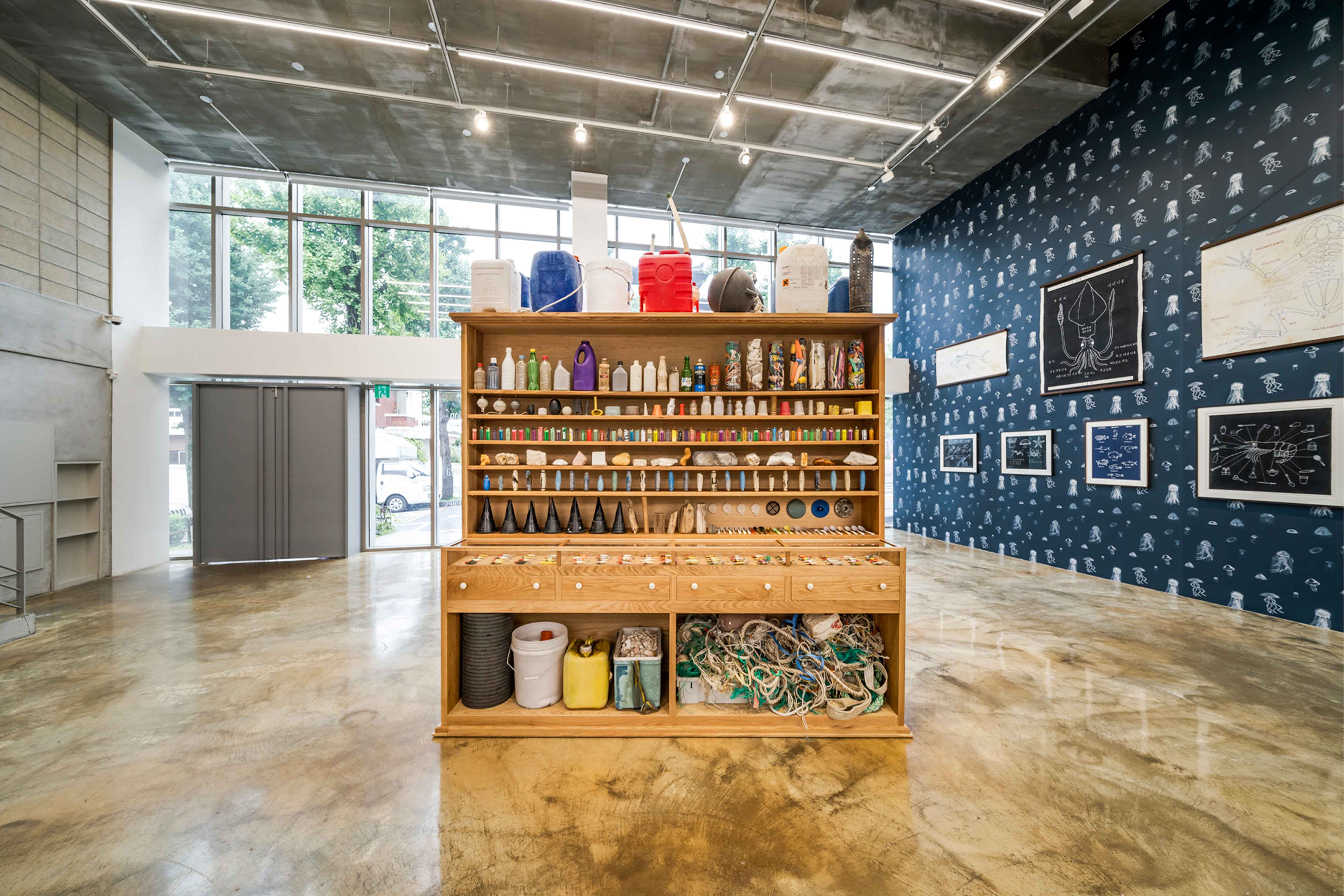 마크 디온 [한국의 해양생물과 다른 기이한 이야기들]