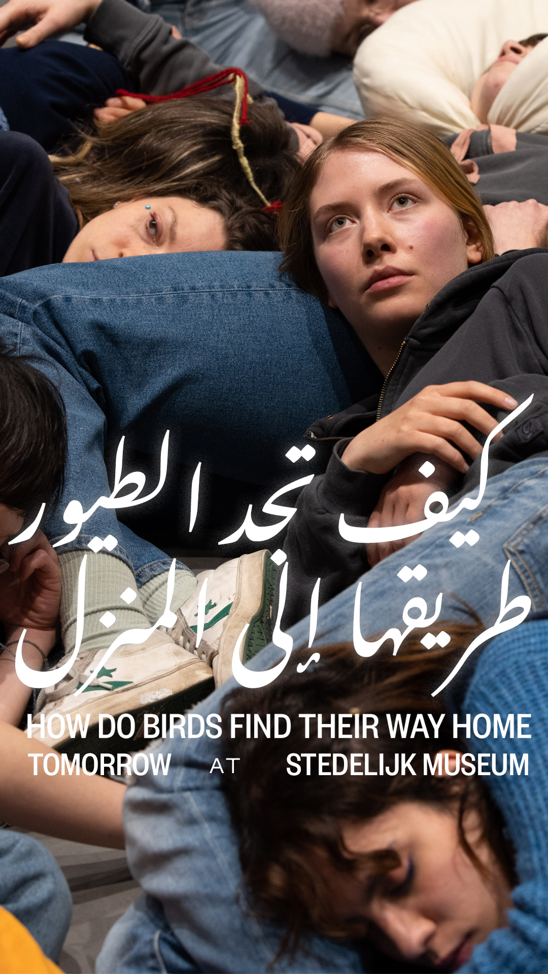 How do birds find their way home? — Yara Said
