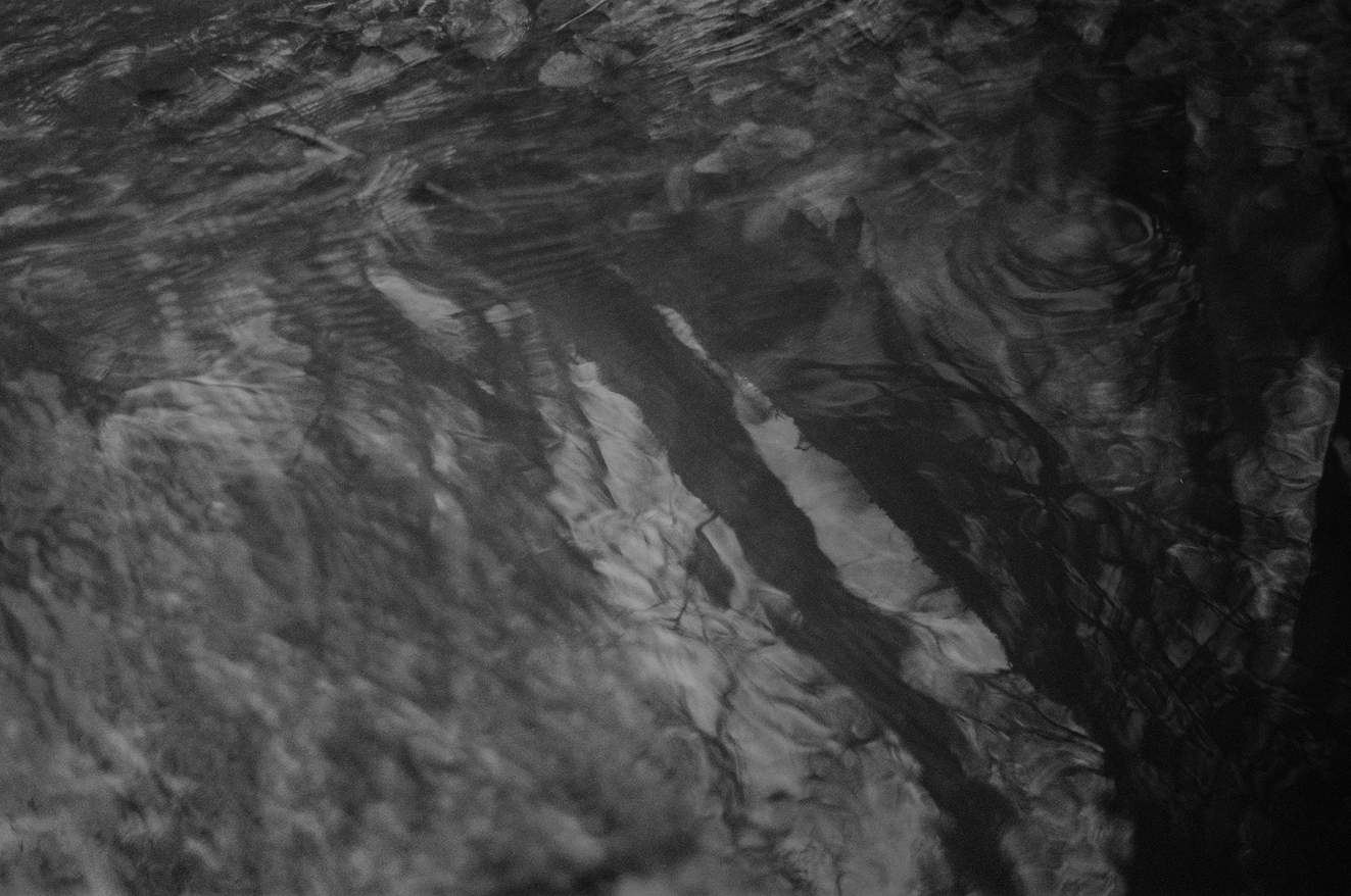 Wind circling above groaned in some subtle ecstasy