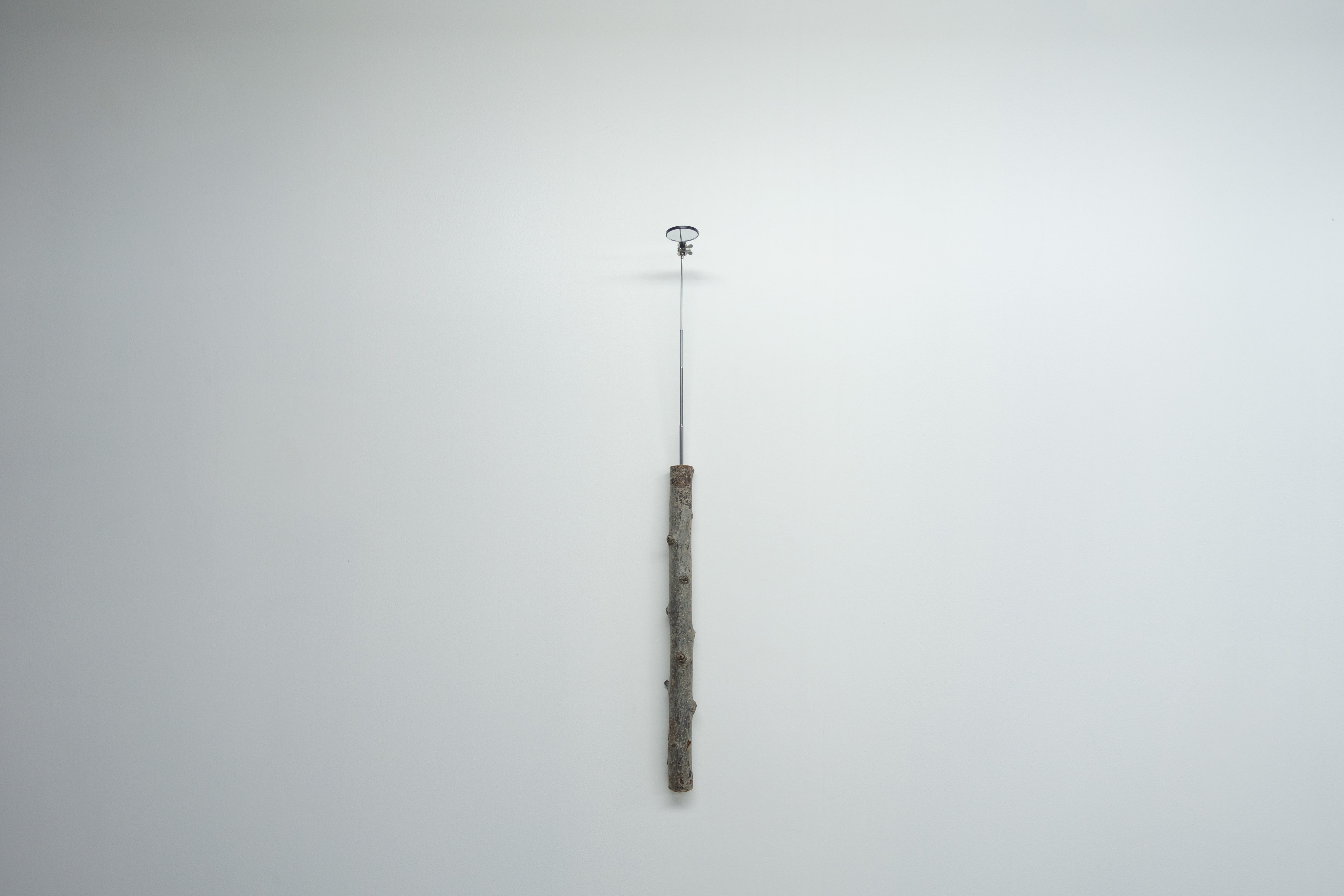 Oliver Henry's wall Sculpture: Self-Reflecting Object. Artwork: apple tree trunk, mechanics telescoping mirror, magnets. 2021.