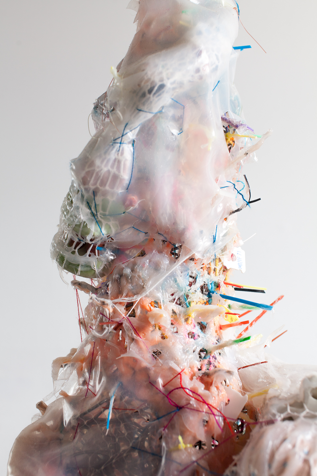 Swan Sack (detail), 2020 