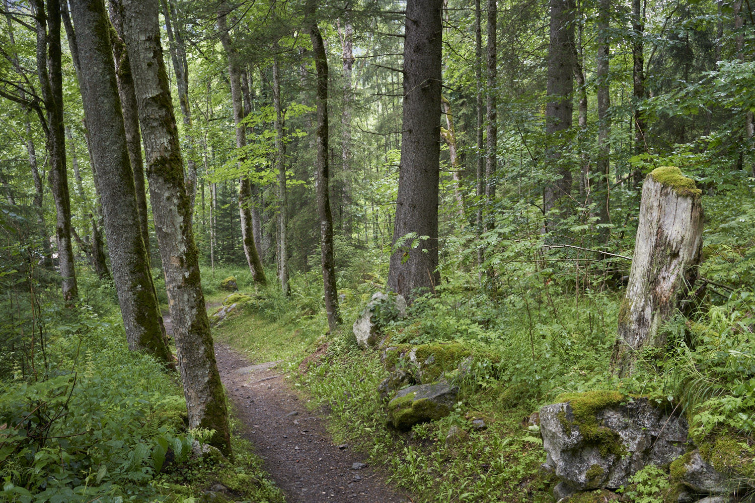 2020 Contamines Montjoie