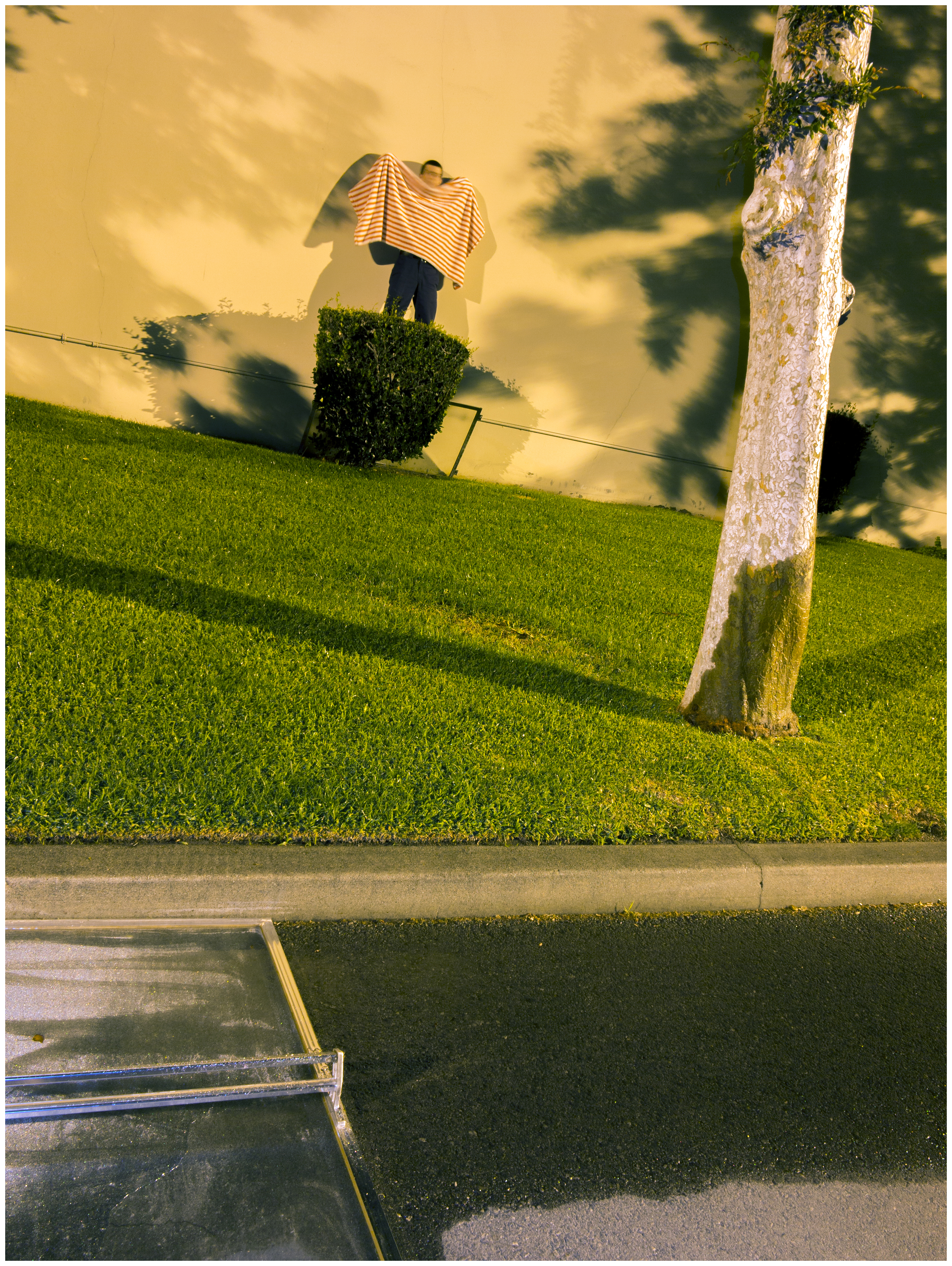 His Sharp Eyes Had Missed Nothing, 2015Point-and-shoot image45.333 x 60.444 in.115.15 x 153.43 cm