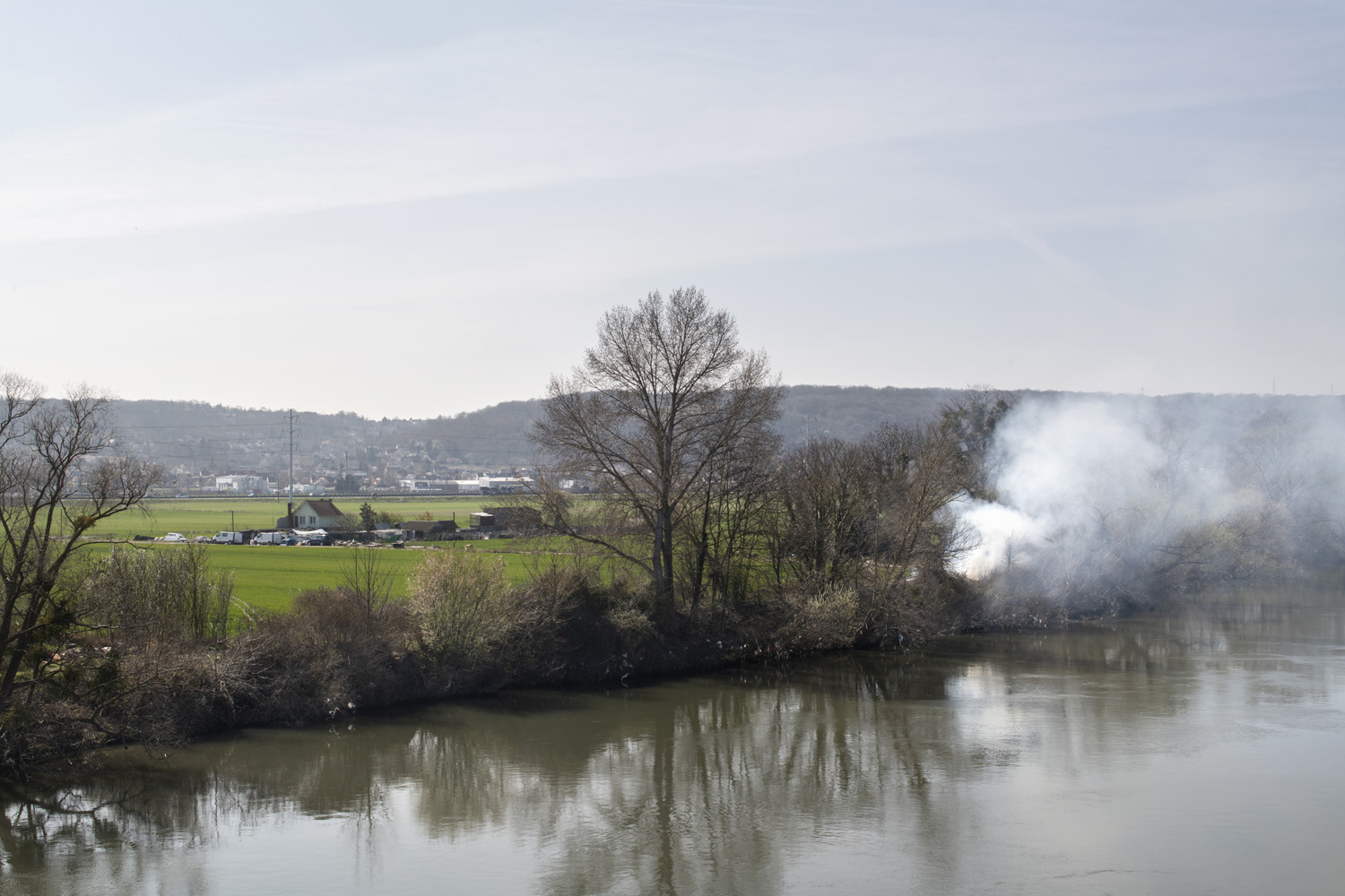 Mézières-sur-Seine, ripisylve