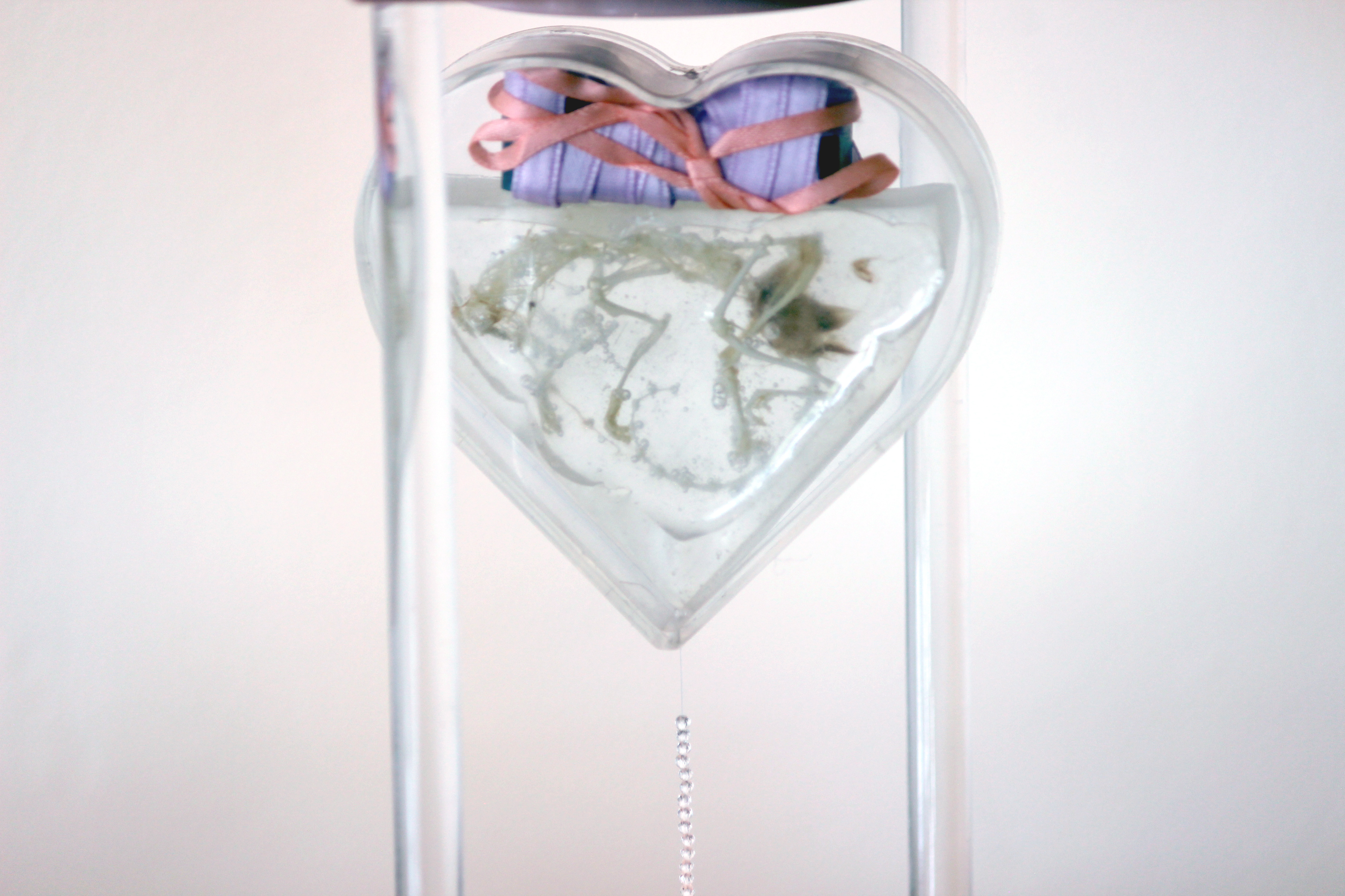 Tiny Lament, Winona Julian, 2024, mouse skeleton, resin, found objects