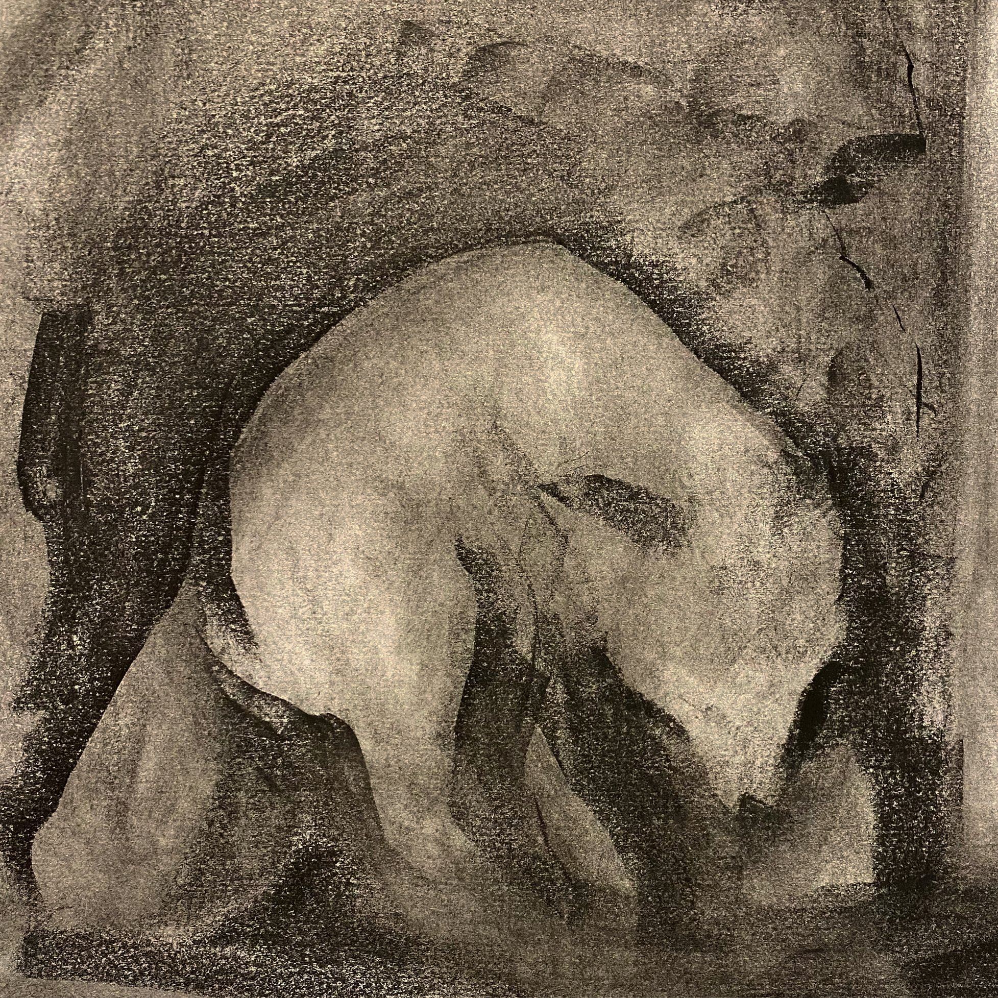 Fox, charcoal on paper, 2020