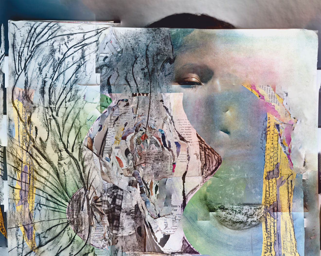 exhibition view: hybridized, full digital collage