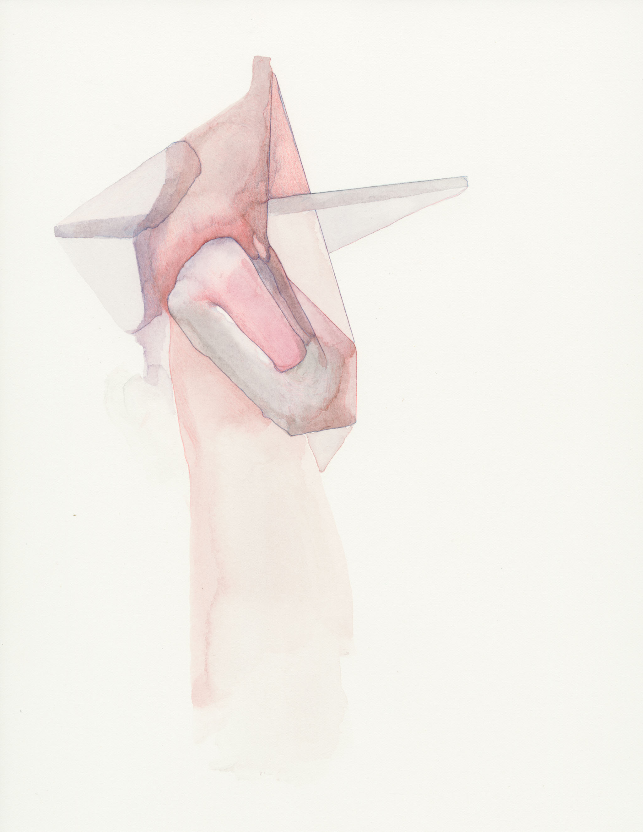 fluffed 11x8.5 colored pencil and watercolor on paper 2017