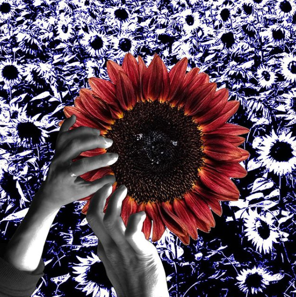 Patrizio M. Martinelli