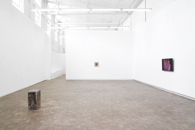 how do you arrive at a place when your image arrives before you? (2020) | Installation view, blank projects