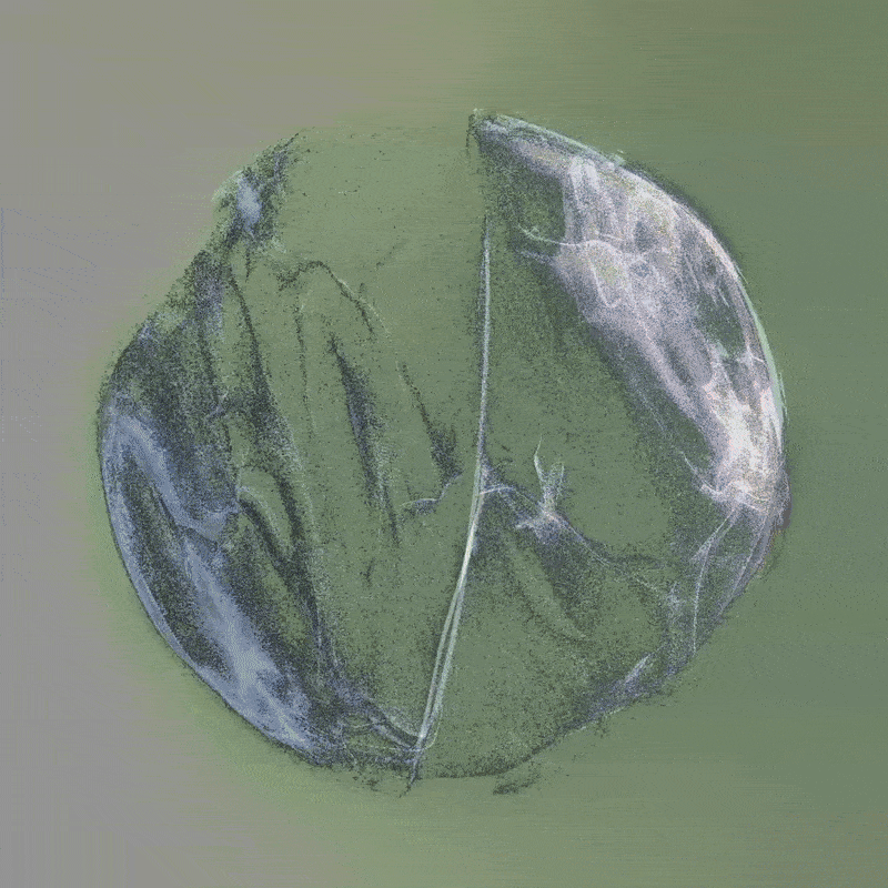 Celestial Equator 2024