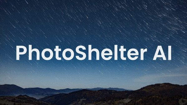 PhotoShelter AI Visual Search