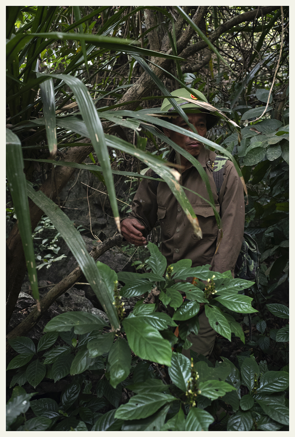 Vietnam - Travel, 2023