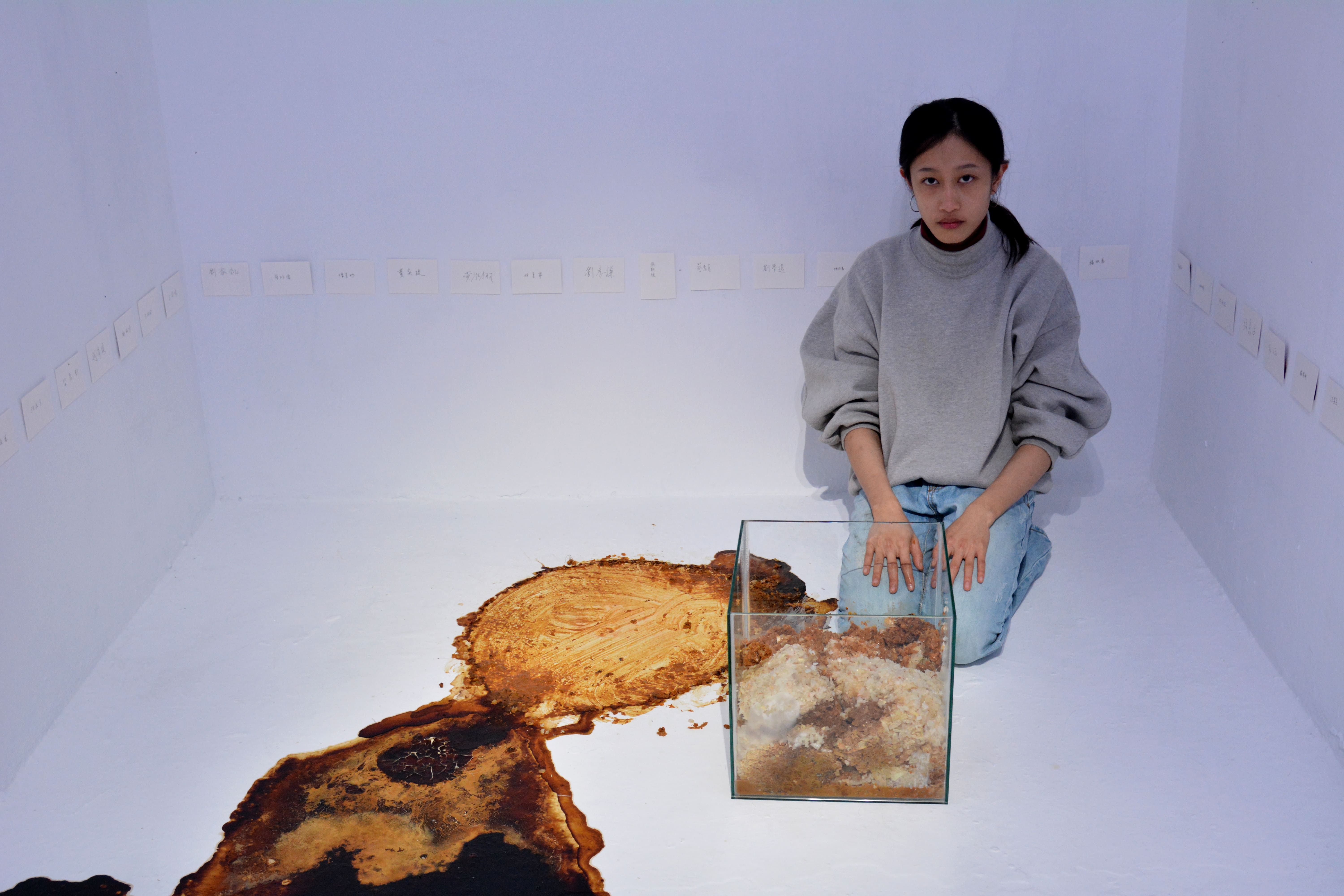 2016 / If You Really Try To See