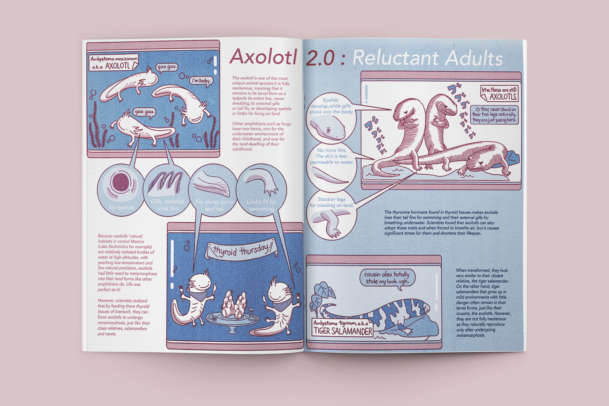 template by user17882893 on Freepik