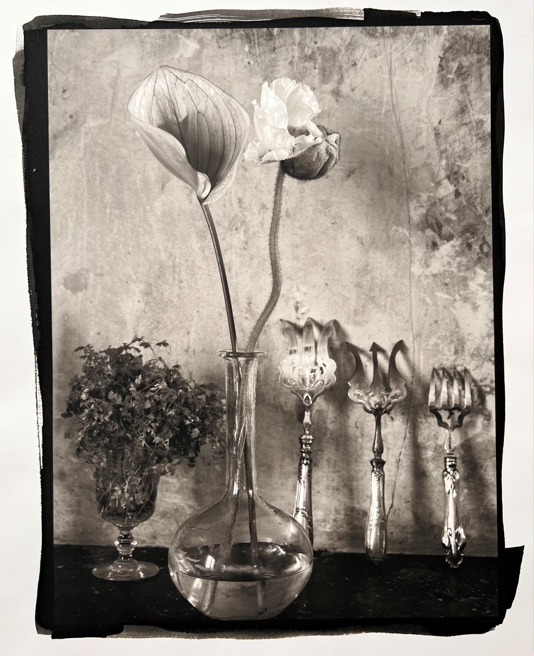 © Vera MERCER Still life (with forks), 2017