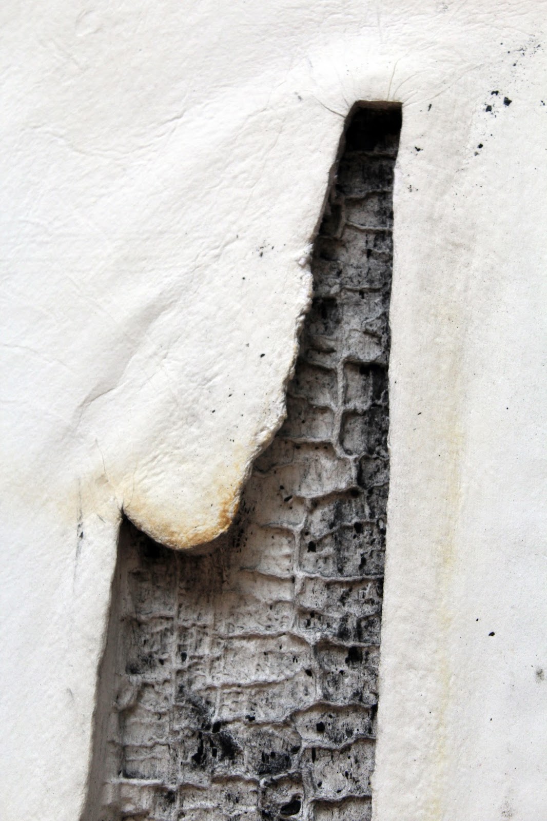 A collaborative paper embossed sculpture of salvaged firewood with 'Mackintosh Reimagined' group