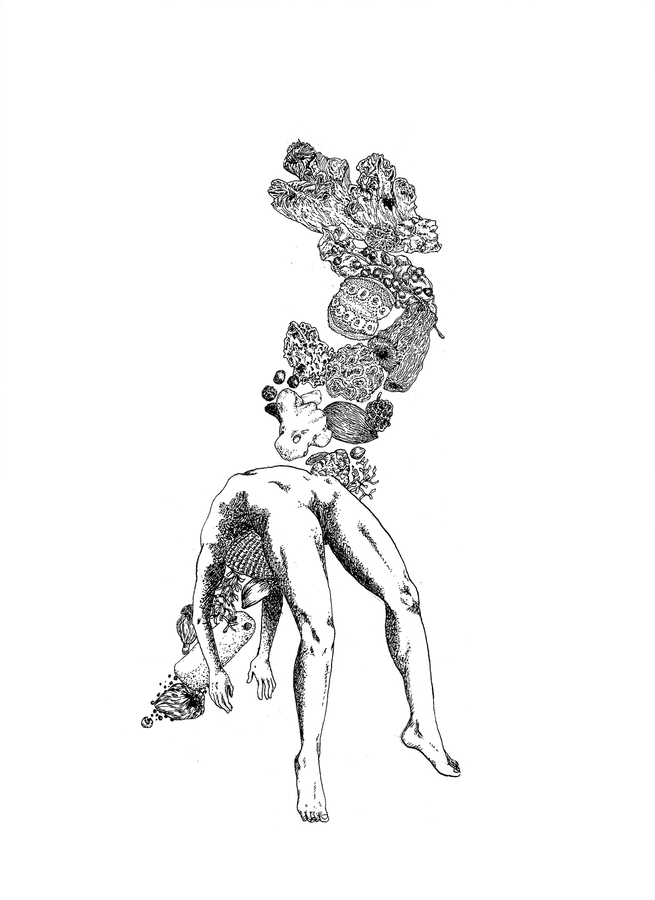 Encre de chine, 23,5 x 36 cm