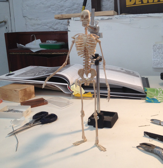 Attaching the individual bones
