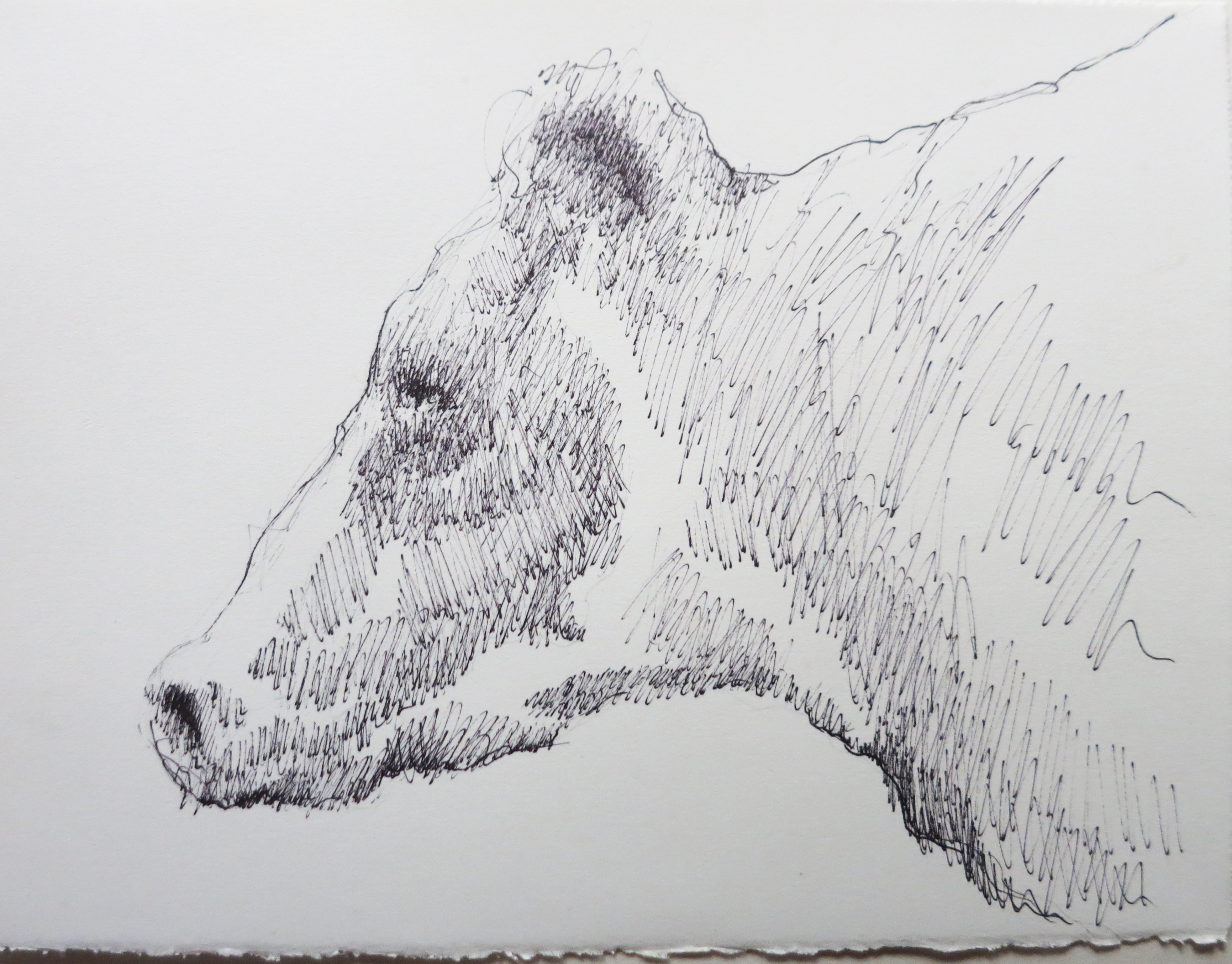  Ink on paper &ndash; 11&rsquo; x 8&rdquo; 