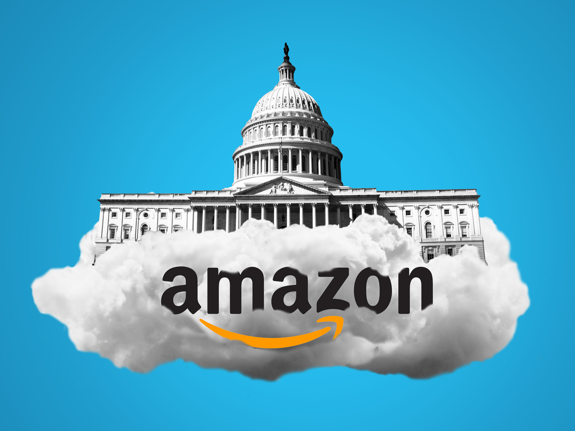 Amazon Government Contracts