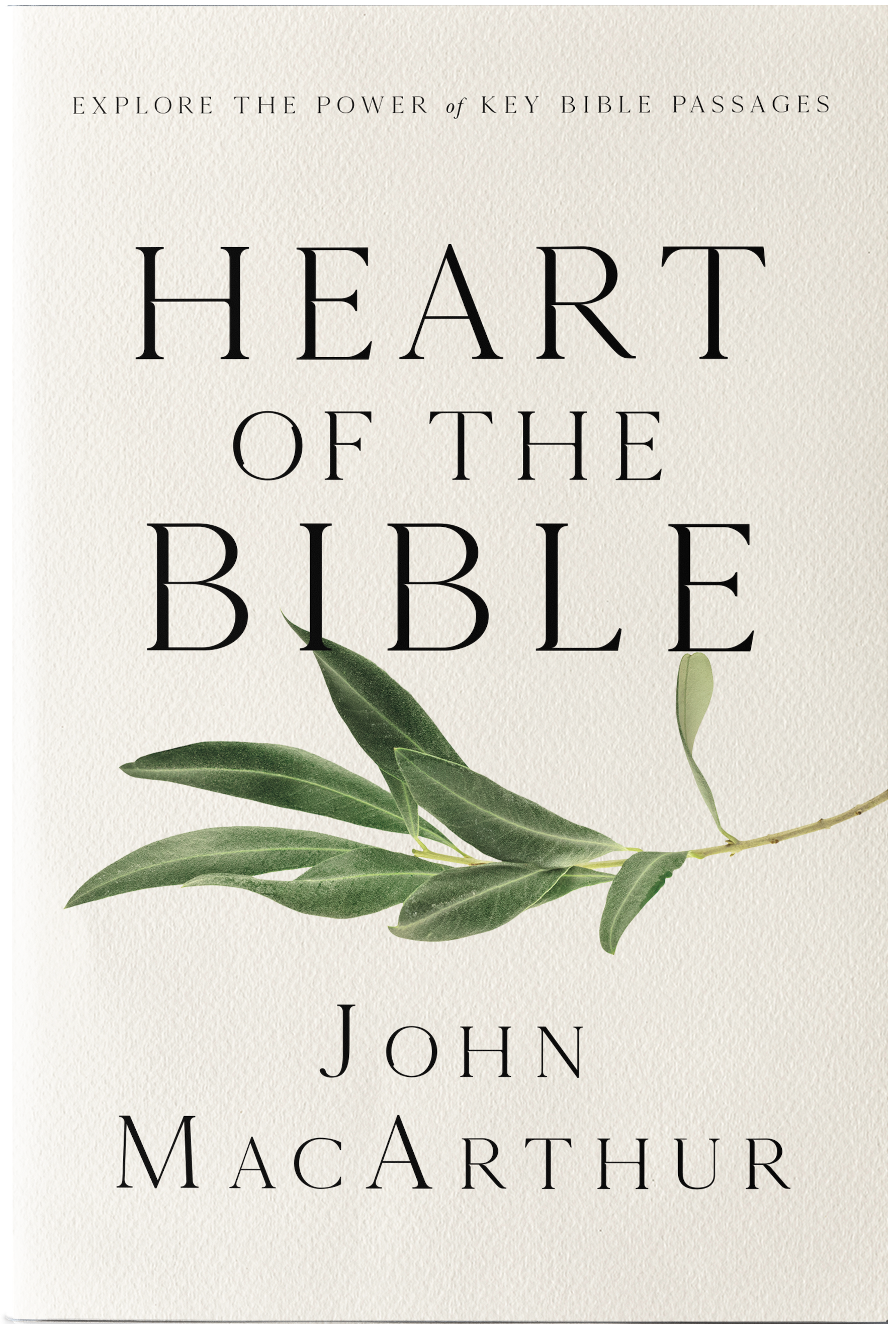 Art Direction: Tammy Johnson