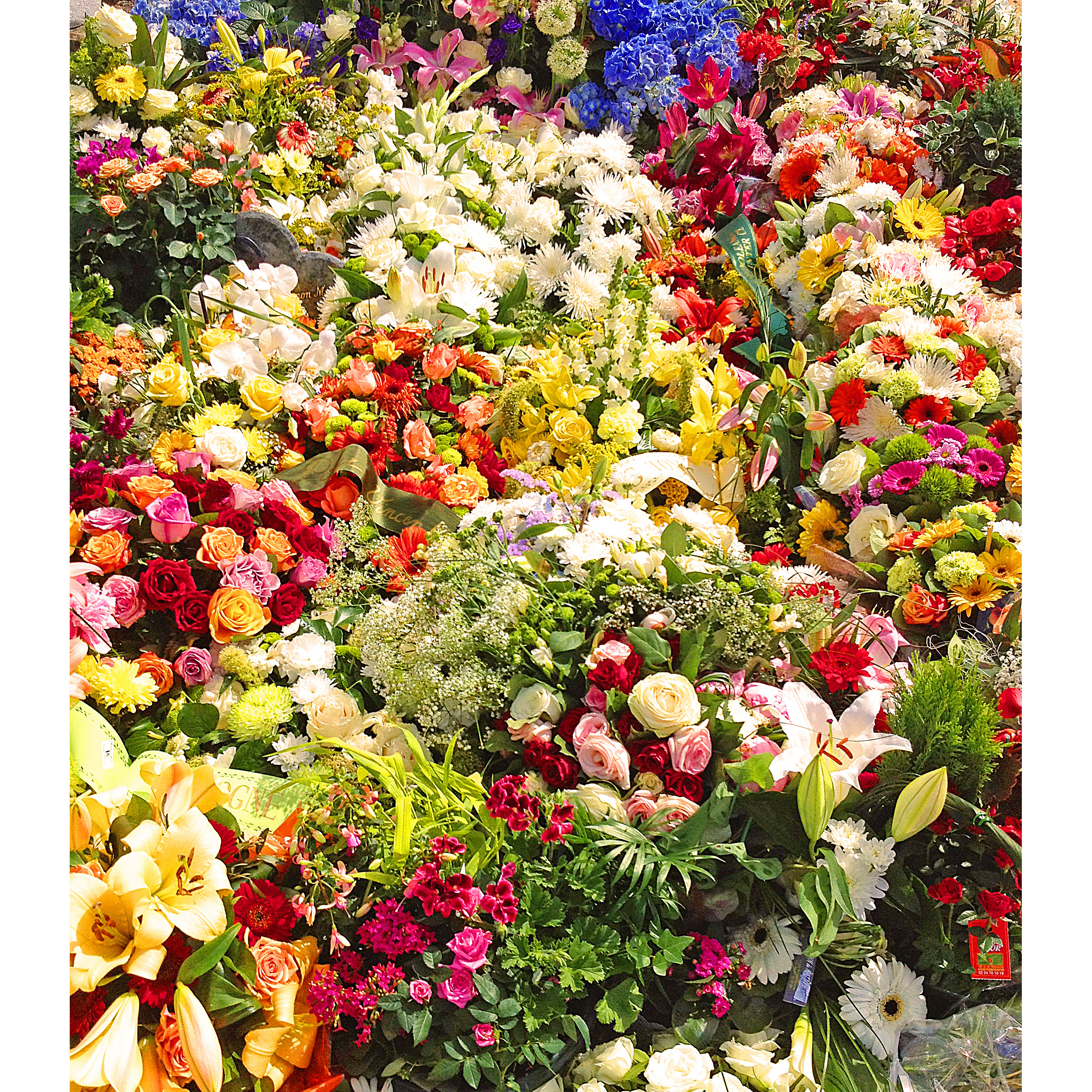 4jrs 9hrs 29min... je crois