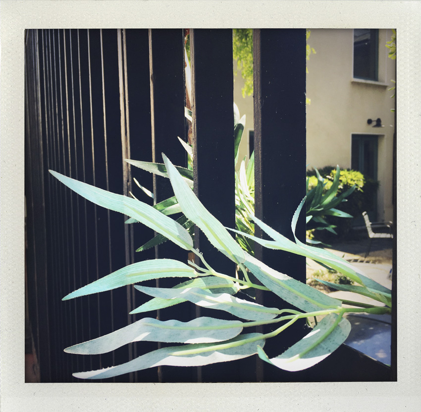 23 Avril 2020 Echappée