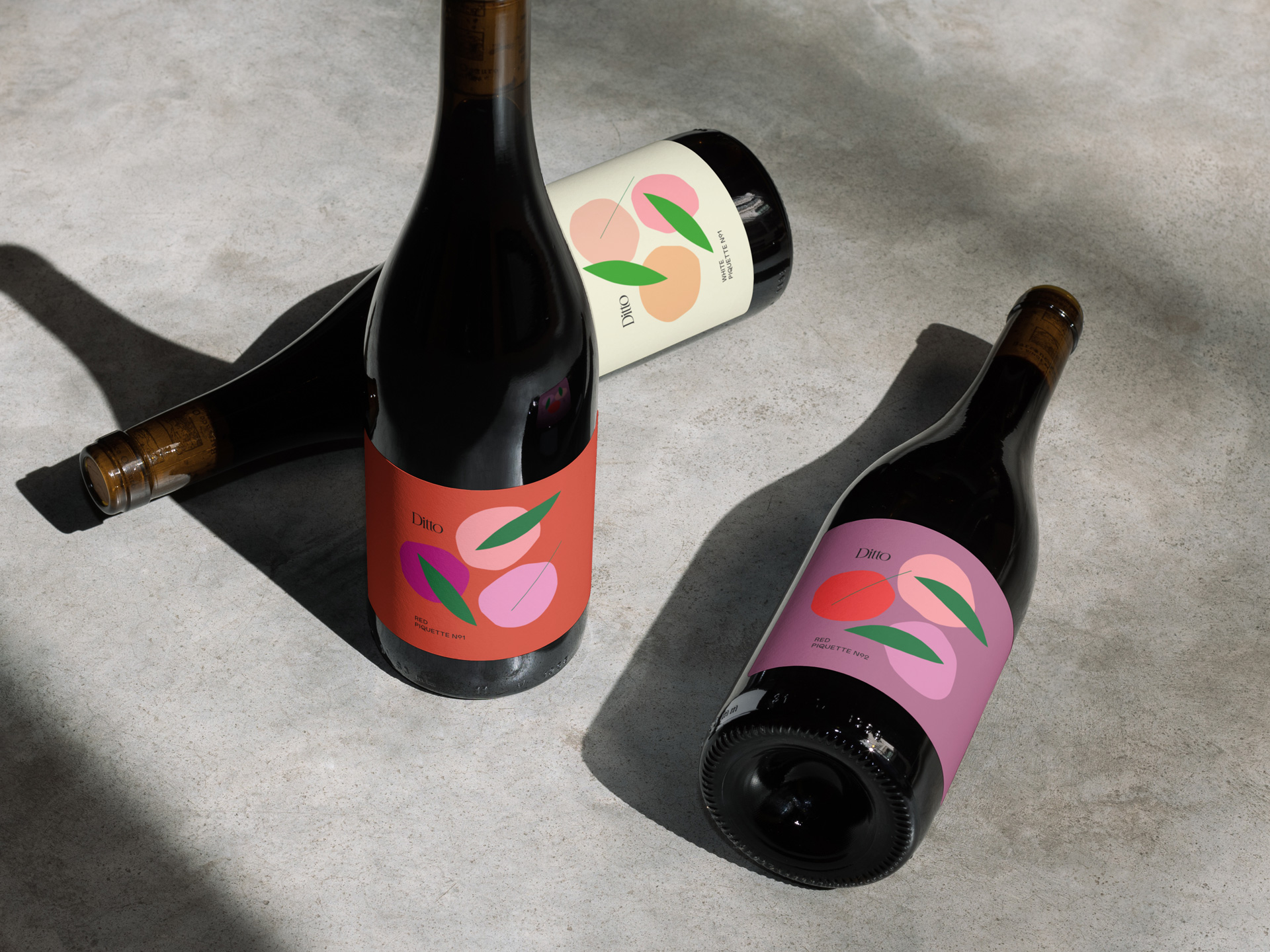 Wine branding and bottle packaging design by Buddy-Buddy for Ditto.