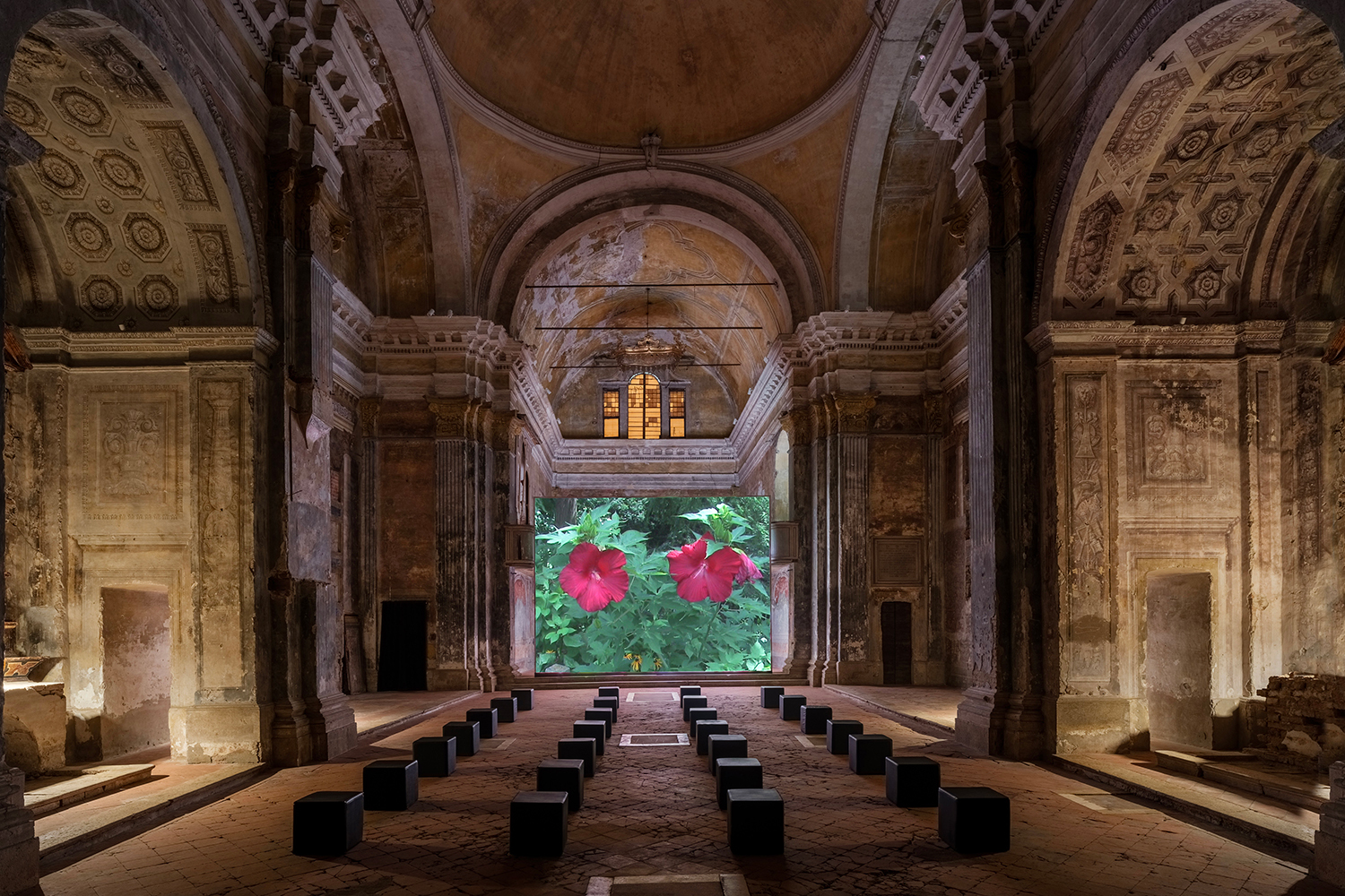 Gregoris Mentzas's Roses