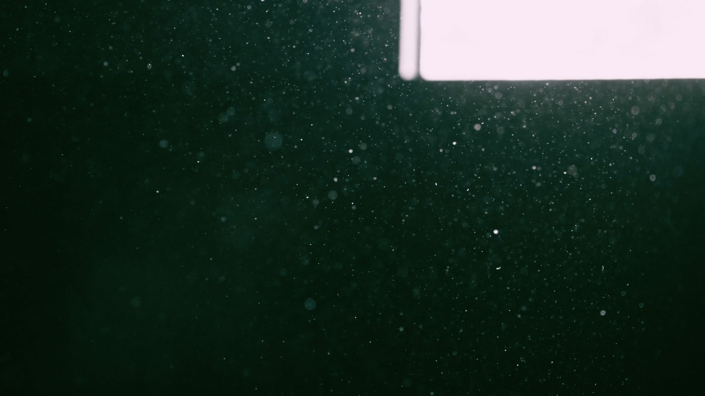 Dust Lockdown / Video Still
