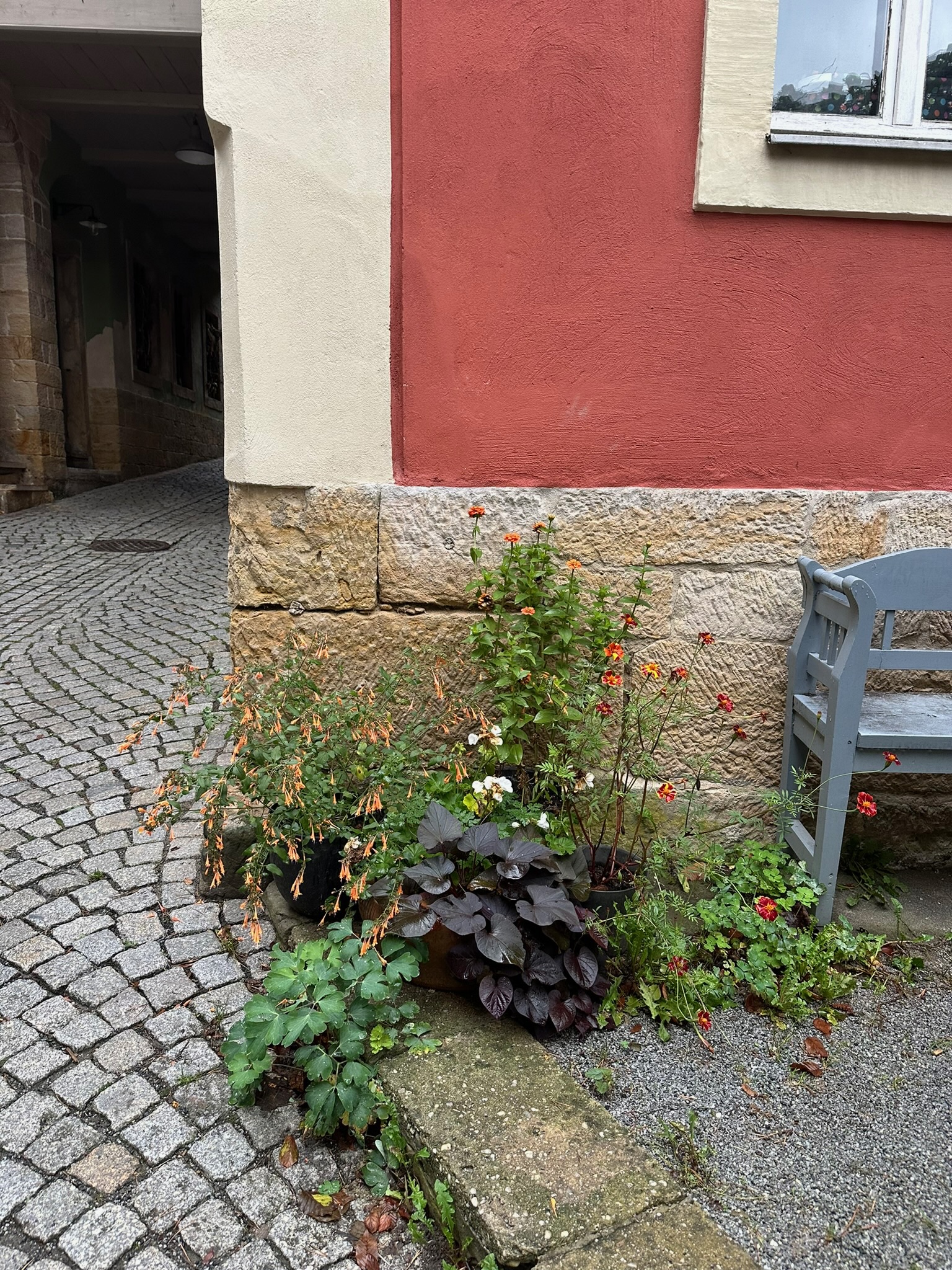 Simple cracks are opportunities for plantings. This is a human intervention on the public street but looks wild nonetheless.