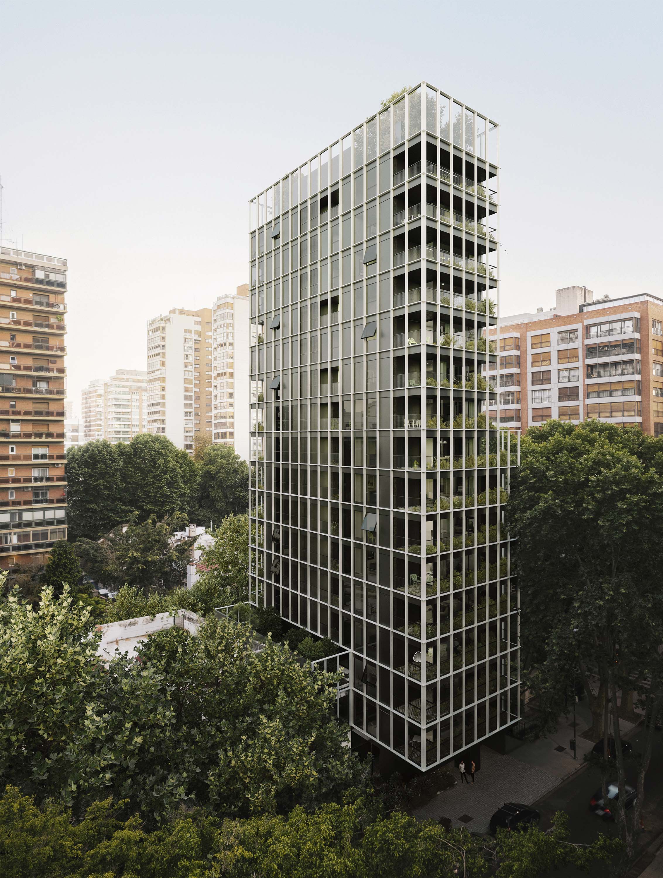 adamo-faiden + chamber - o'higgins