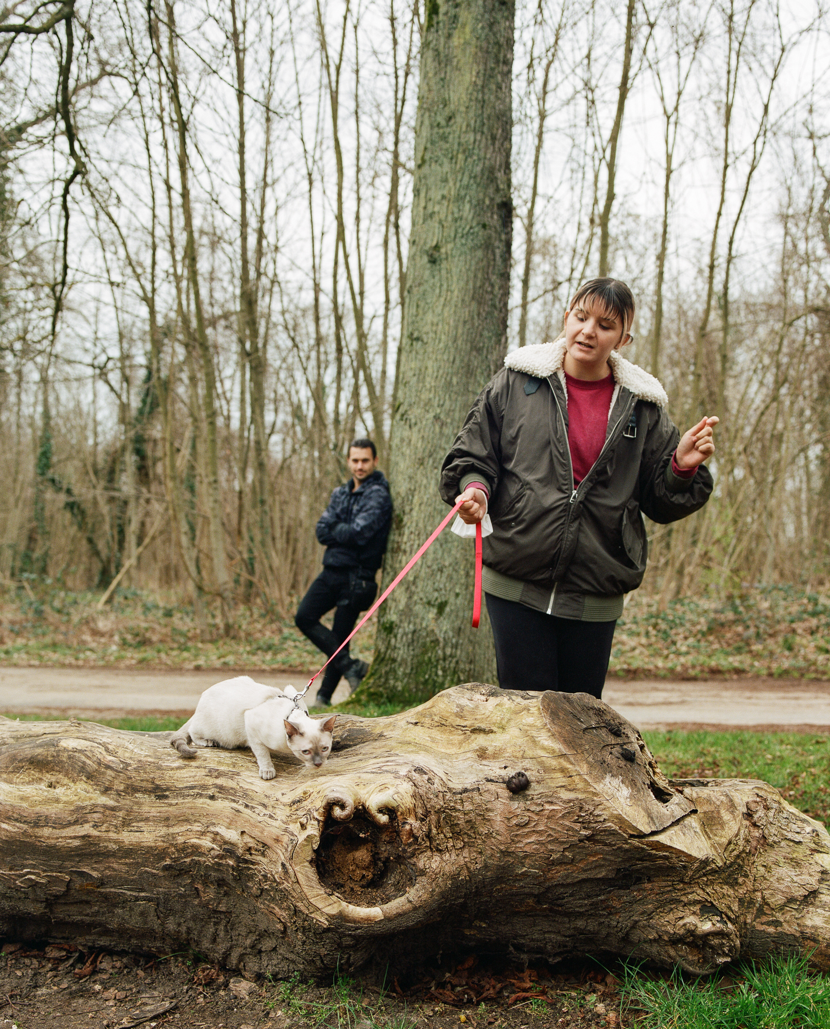 M. sort pour la première fois son chat de son appartement, mars 2022