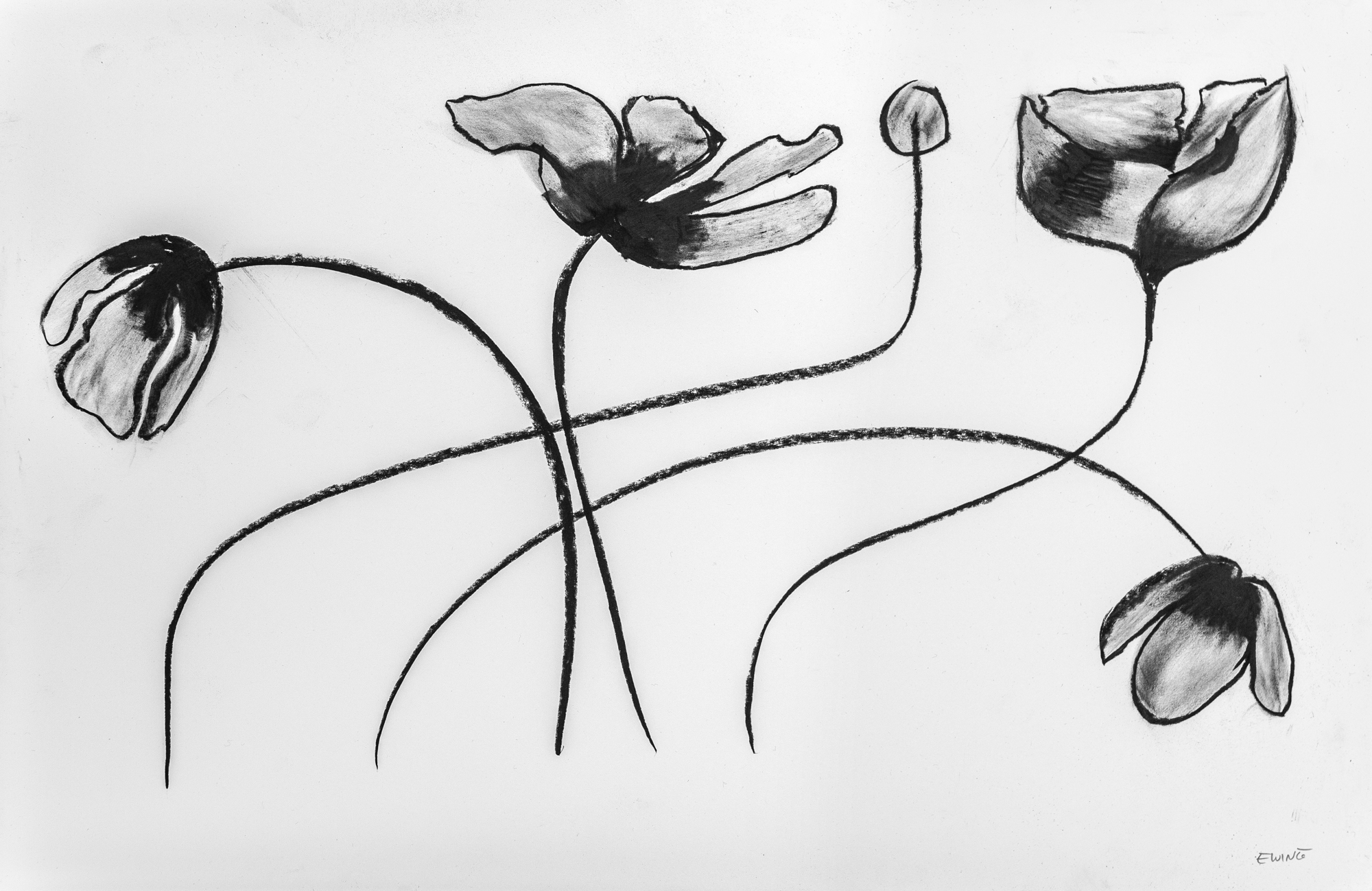 Floral Sketch 03 — Sold