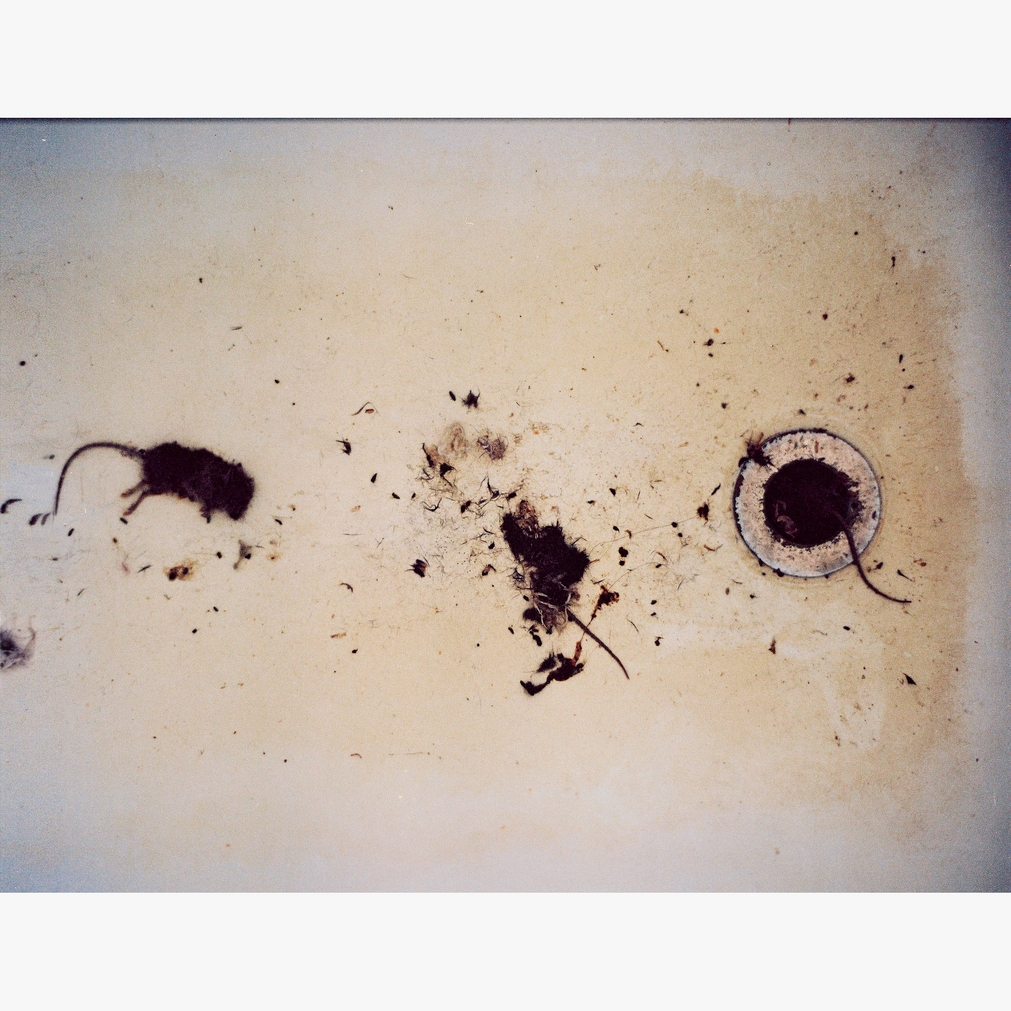 4/6Tokanui Psychiatric Hospital, 2002 (021013_003)