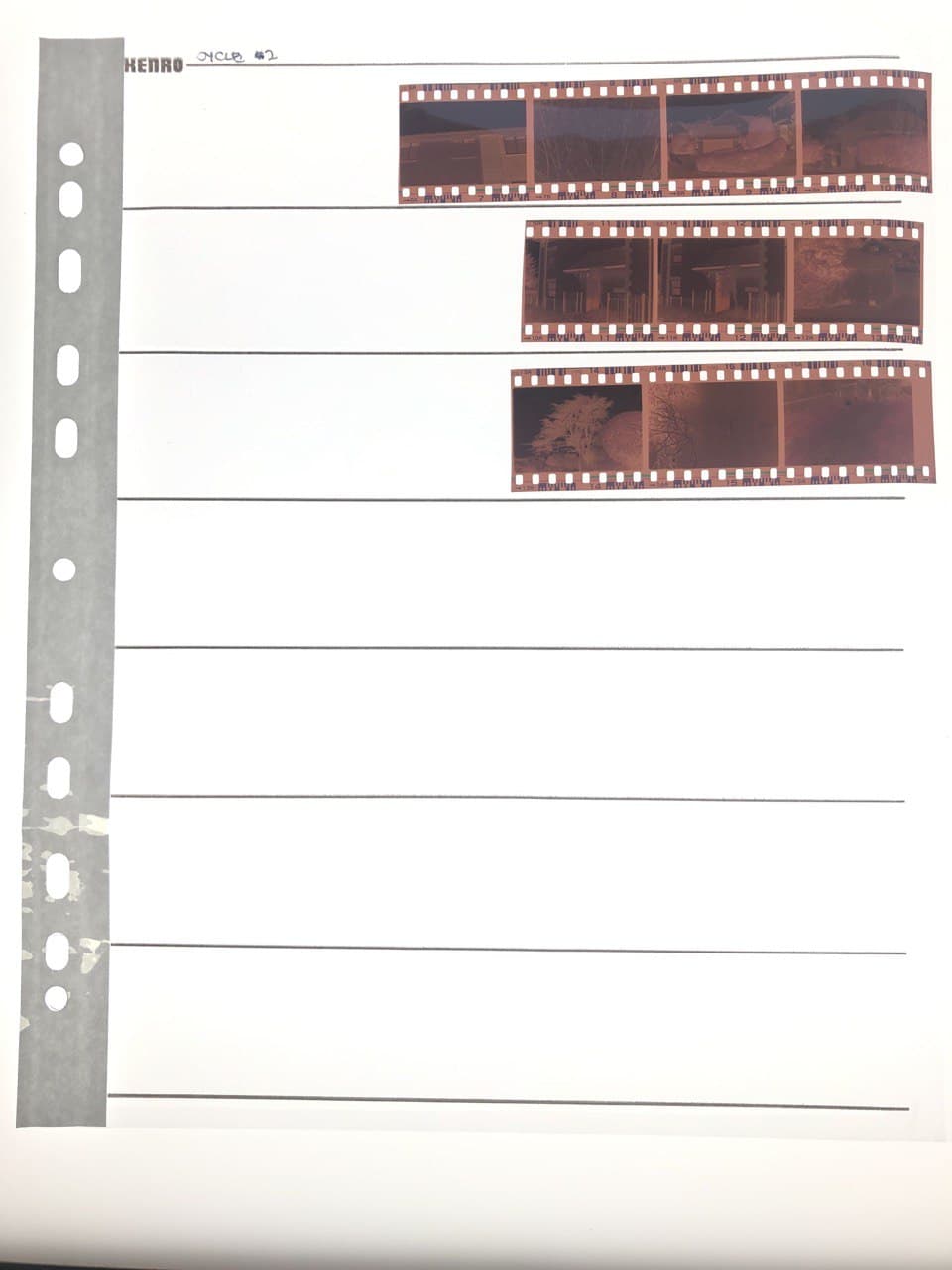 Visual Perception Test: Cycle #2 Contact Sheet