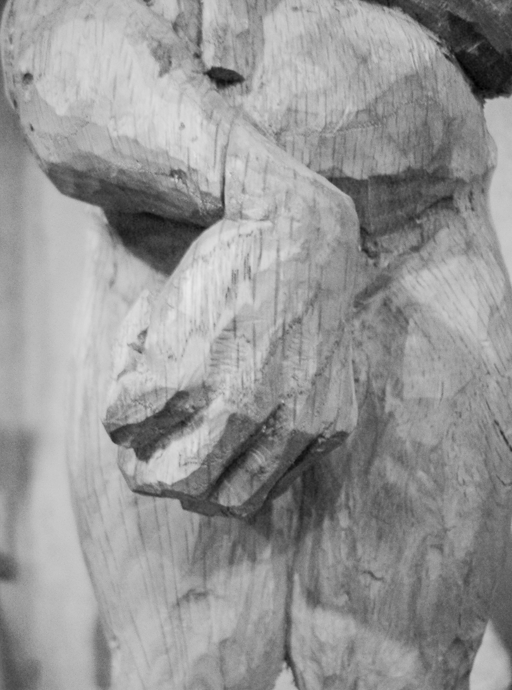 ch&ecirc;ne | h. 30 cm