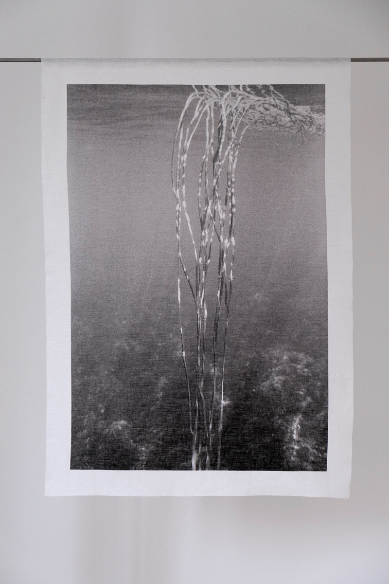 Analog underwater photography  50x75cm  Linen