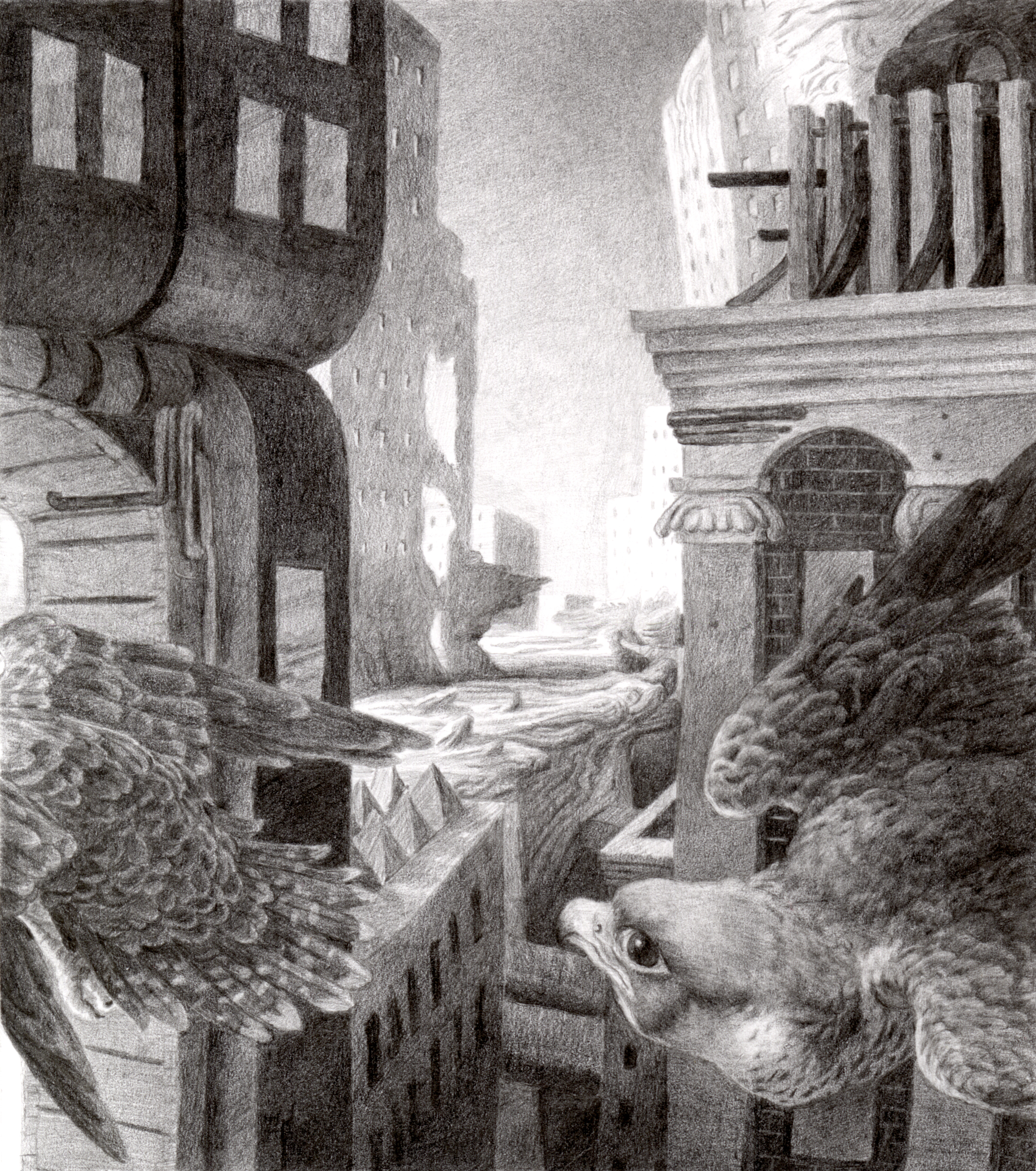 "Peregrine falcons": The Peregrine Falcon has adapted remarkably well to urban environments like New York City, where skyscrapers mimic its original mountain habitat.