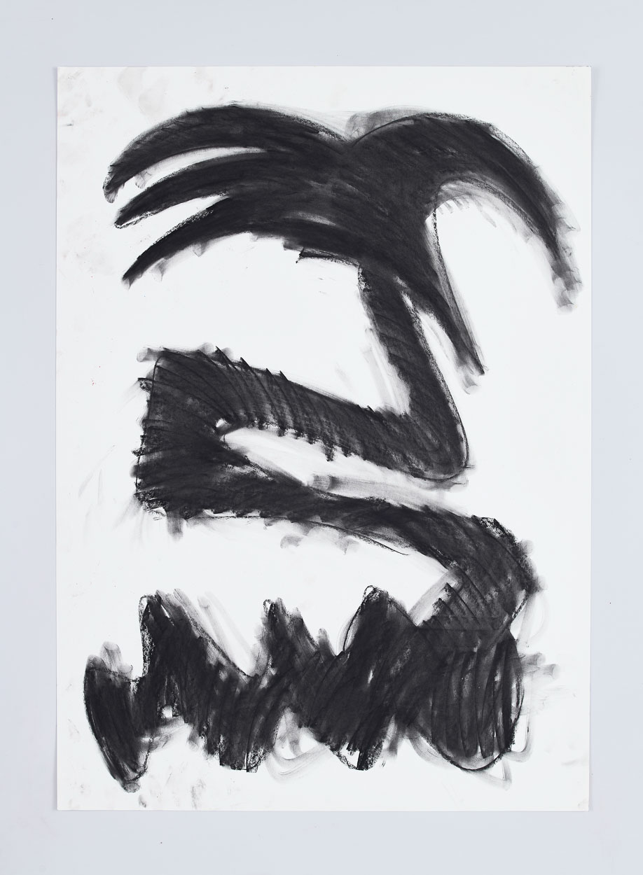 Palm Boogie, 2019. charcoal on paper. 95cm x 65cm