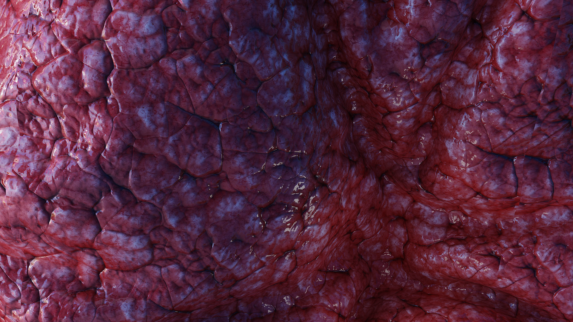 Anna Hughes, Blender Experiment #6, Digital image, 2023.